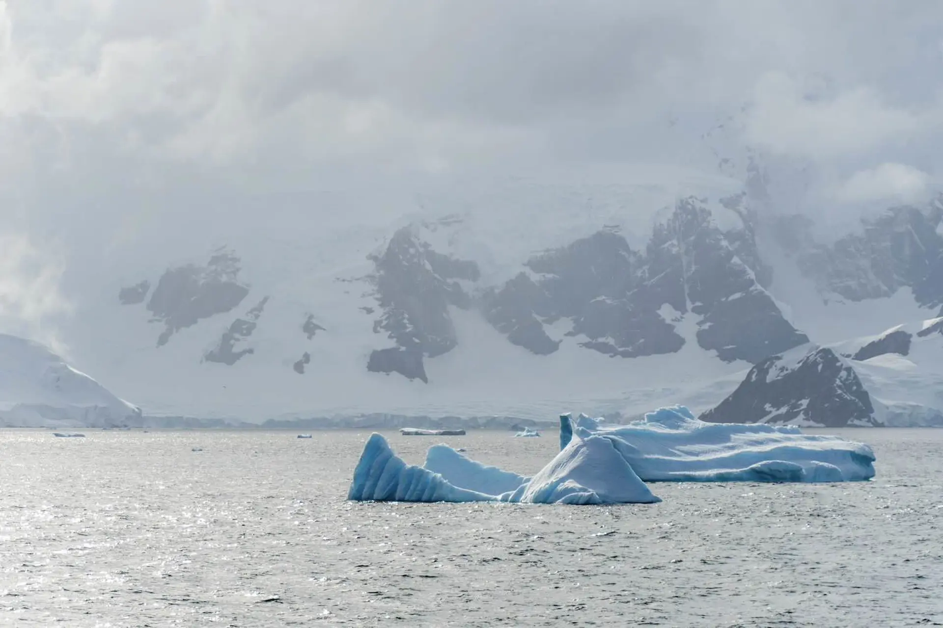 Antártida: 2 tours inéditos para visitar el continente blanco