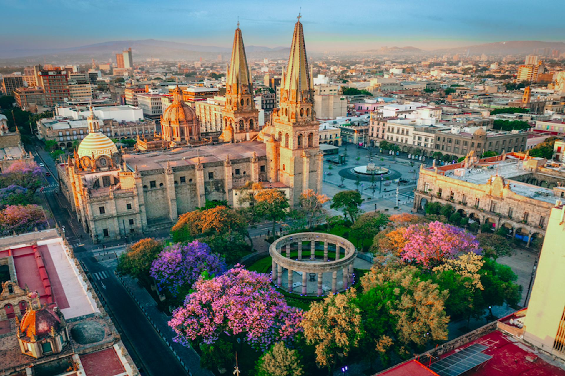 Diciembre en Guadalajara y Tequila, entre libros, tradiciones y sabor