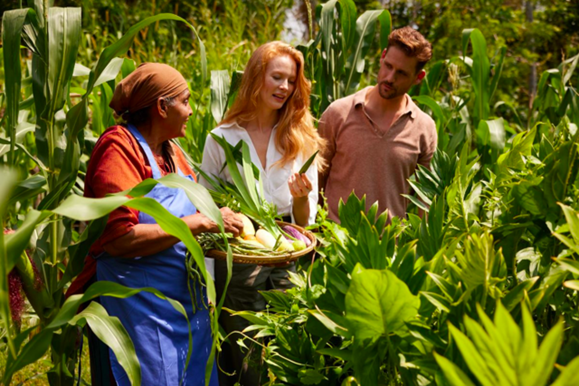 Para 2026 Minor Hotels ve un viajero que busca conexión emocional 