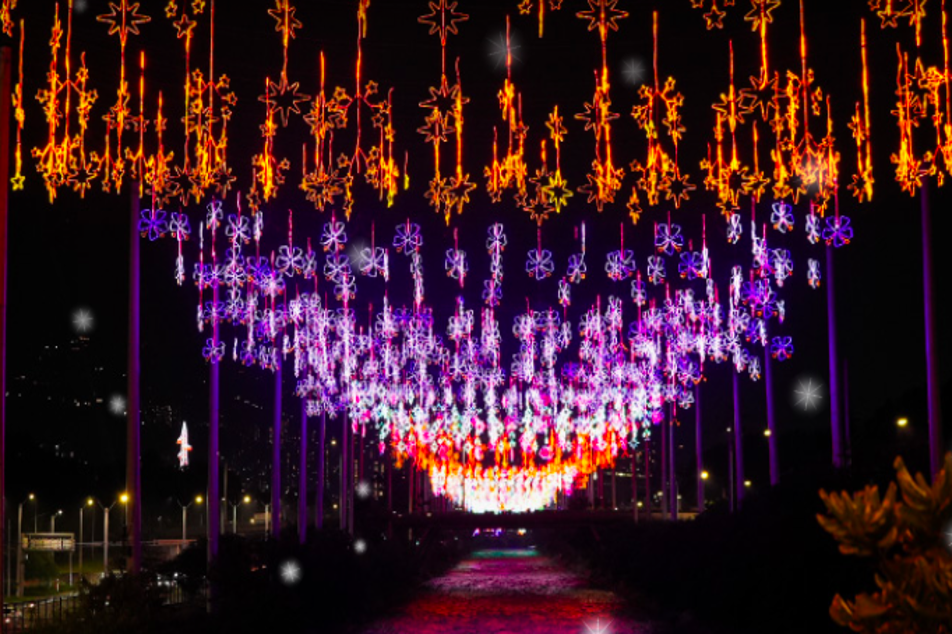 Medellin: un diciembre lleno de música, arte y tradición 