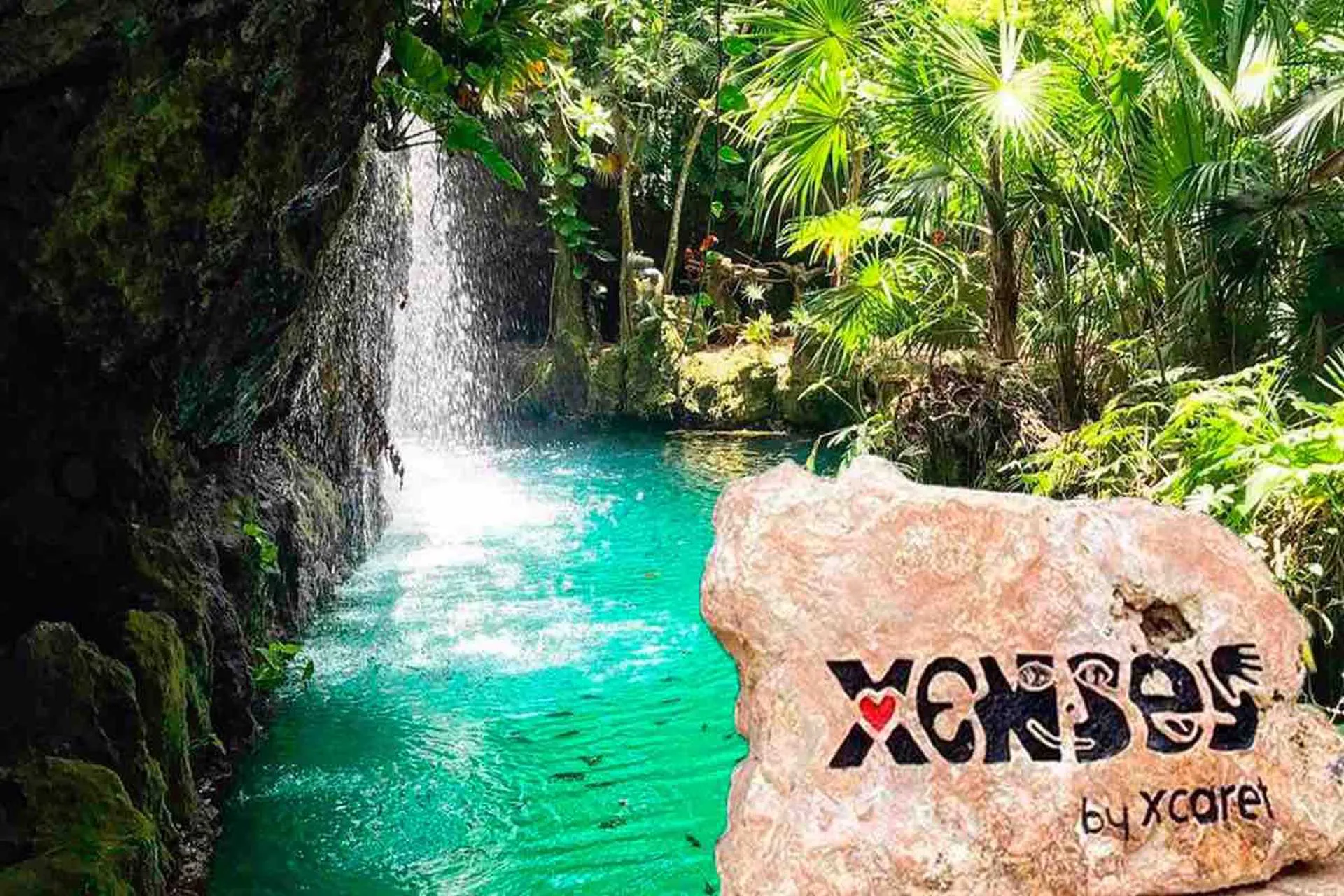 Continua el caso Xenses y Xcaret se resiste a entregar información