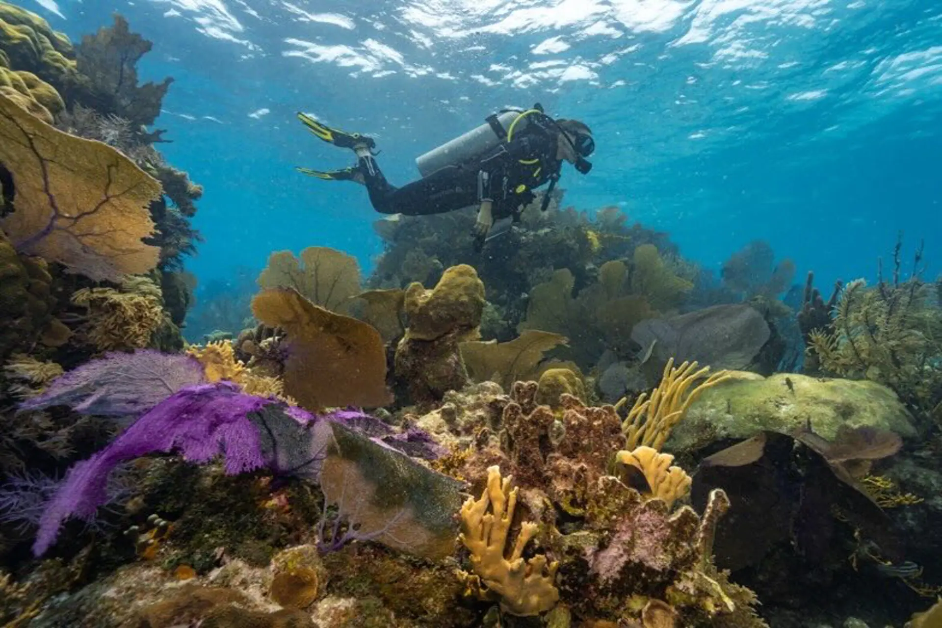 Belize lo espera para explorar el Great Blue Hole en Beyond Blue 2026