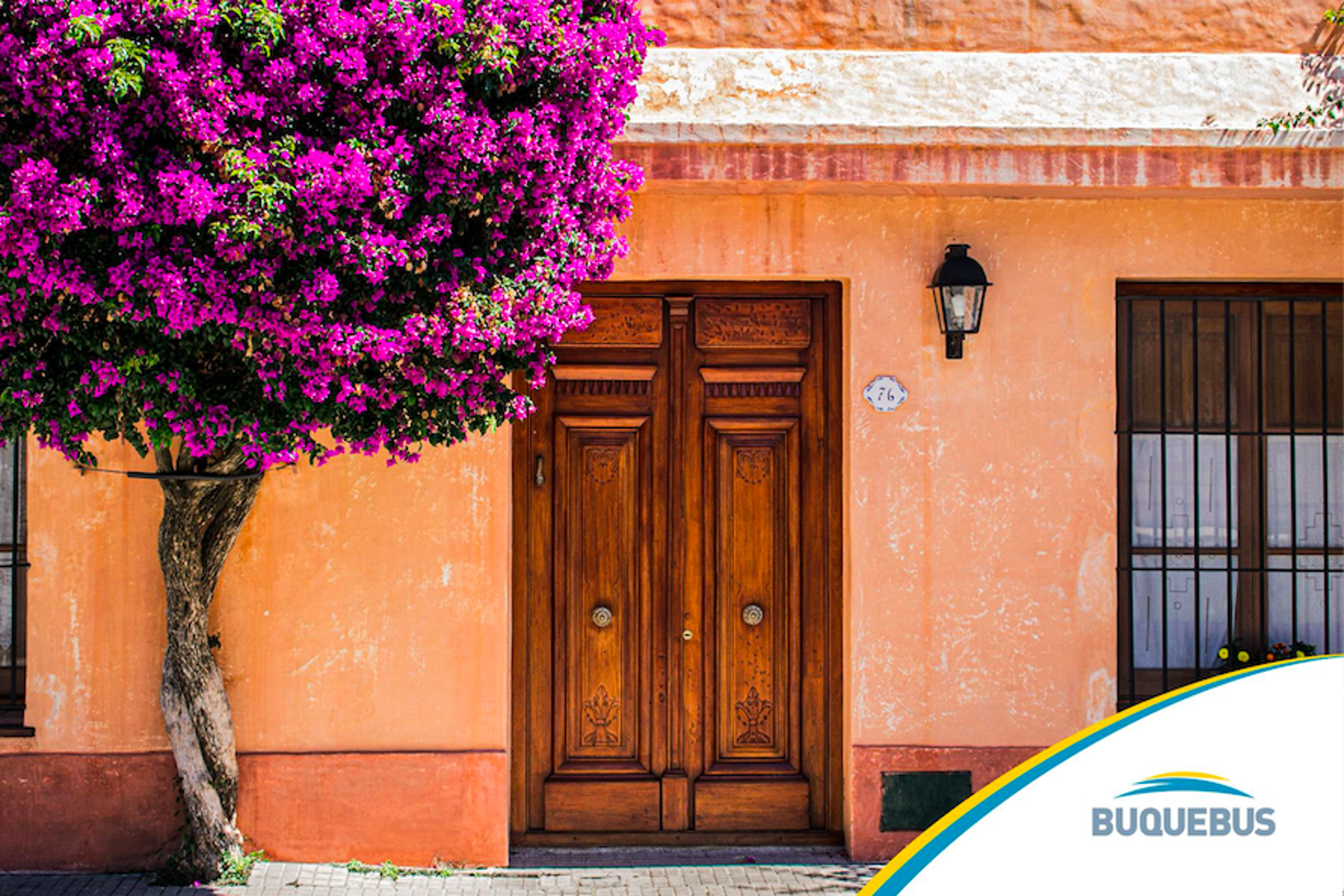 El plan de Buquebus para impulsar la economía de Colonia del Sacramento