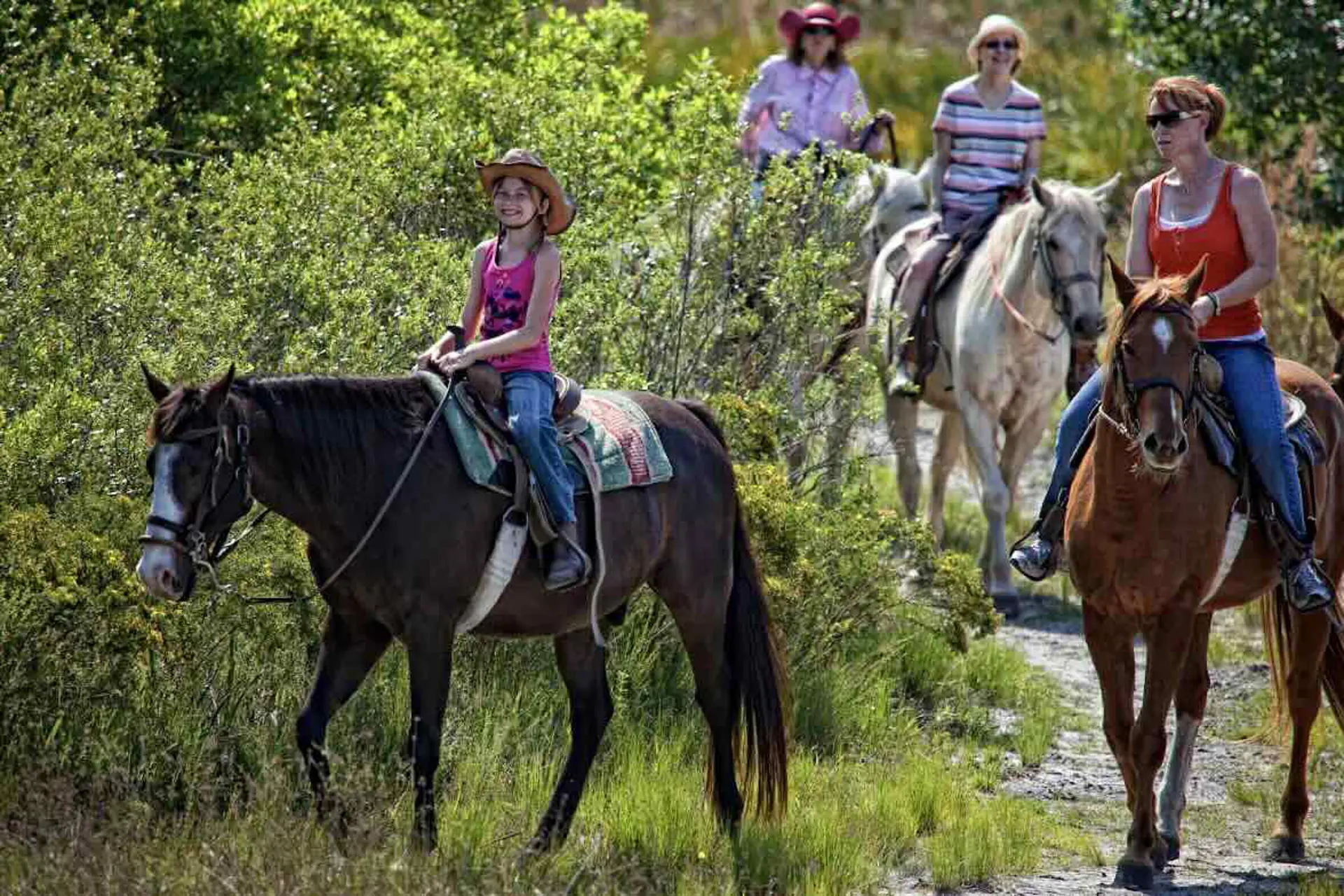  De Miami a Lakeland: un Road trip revelador en la  Florida