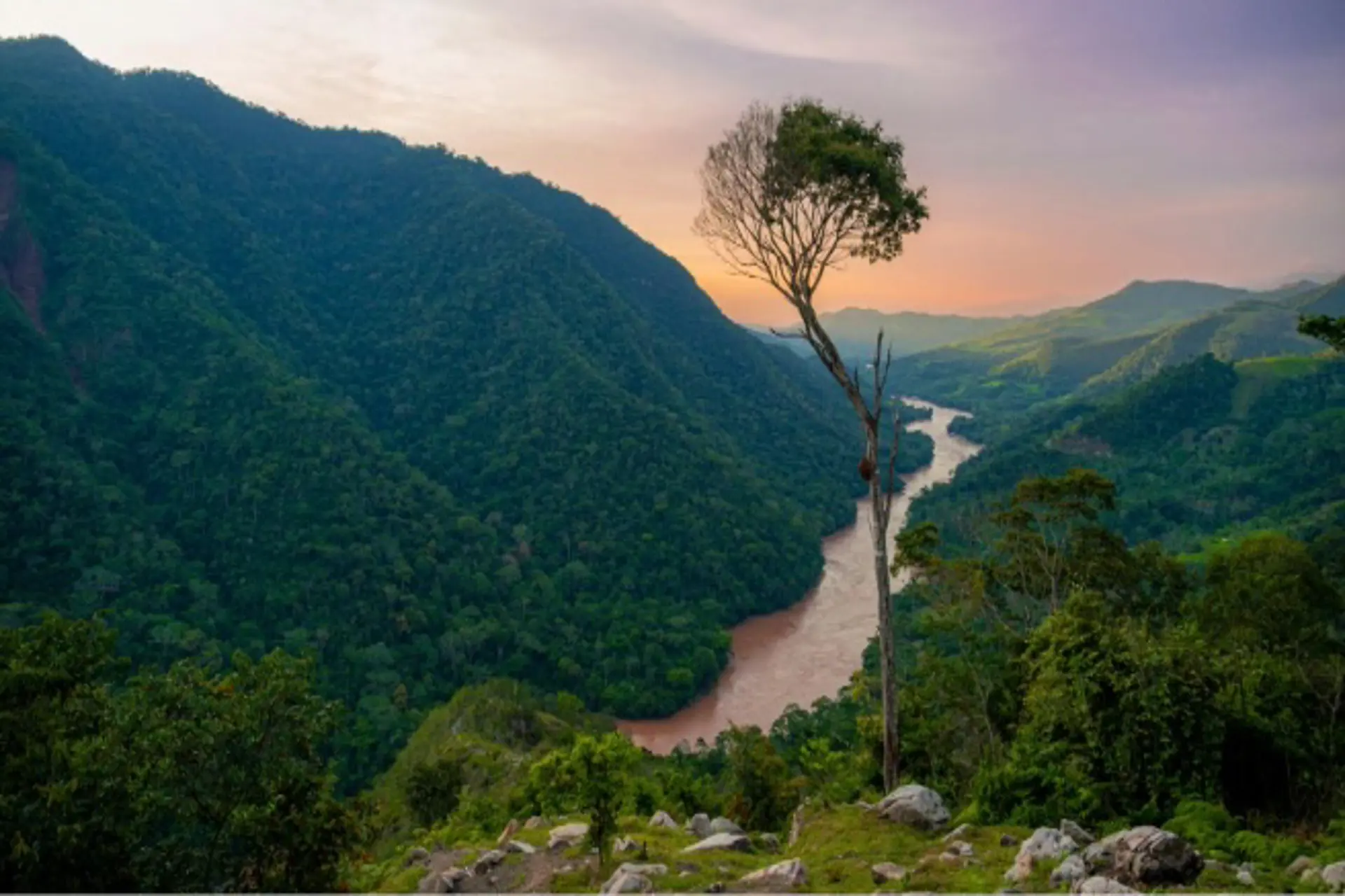 PROMPERÚ realizará el seminario de turismo “Vívelo en la Selva”