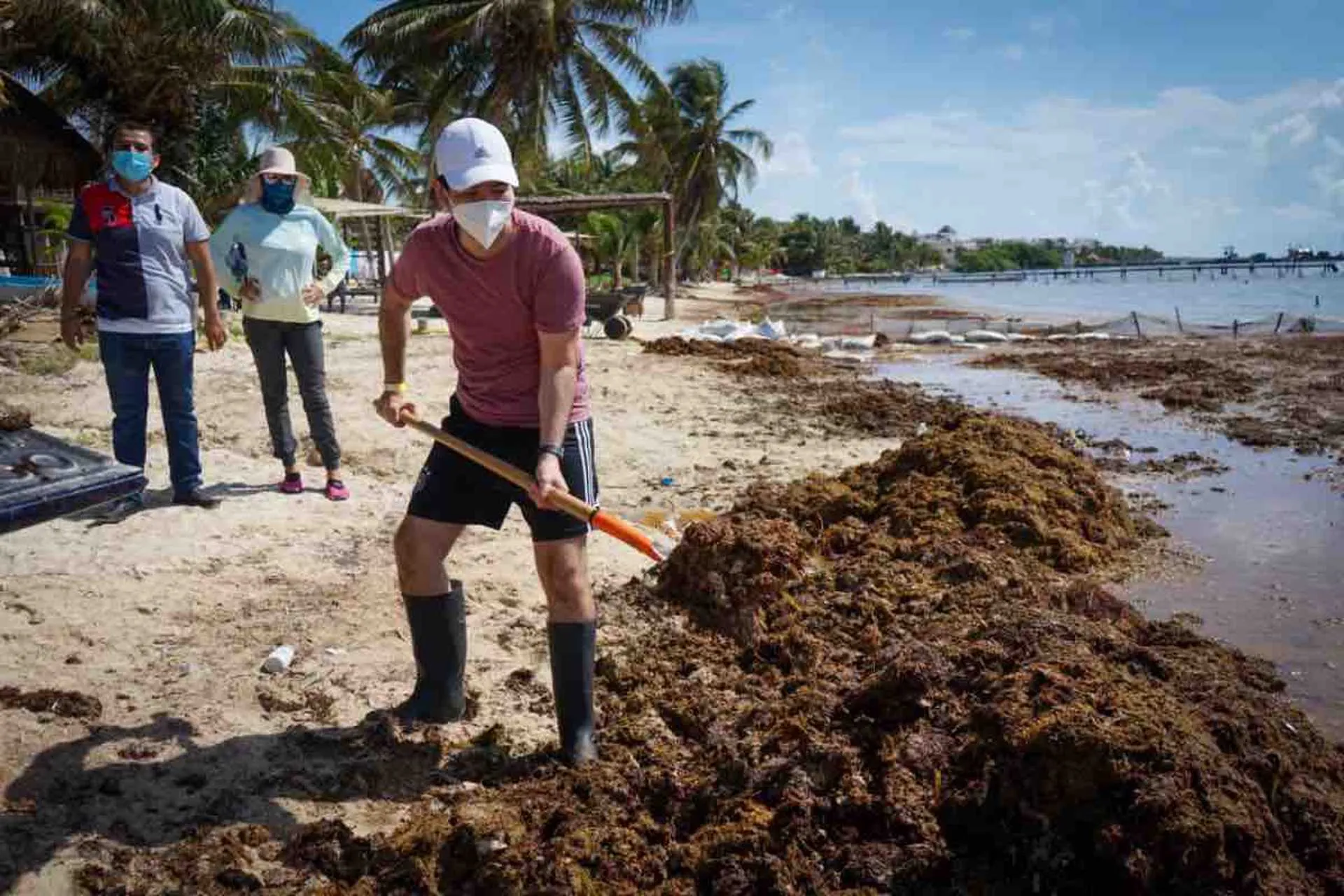 Llega sargazo y preocupa a ciertos destinos del Caribe mexicano Llega sargazo y preocupa a ciertos destinos del Caribe mexicano