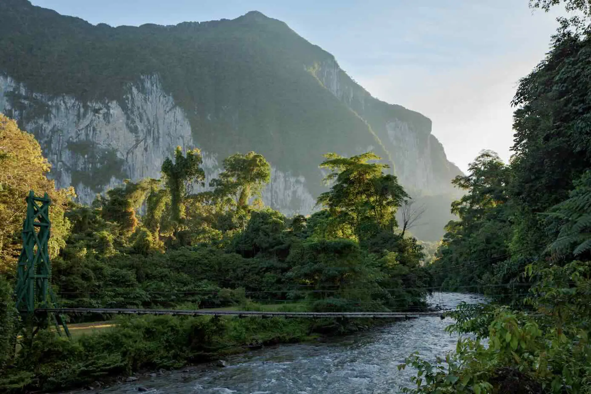 Explora la selva tropical de Malasia