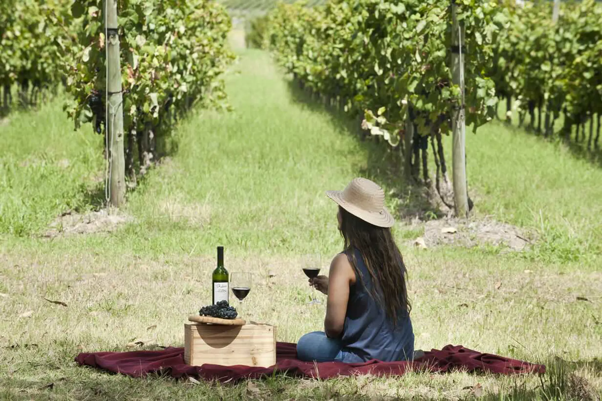 Uruguay entre viñedos y fogones, una escapada de invierno 
