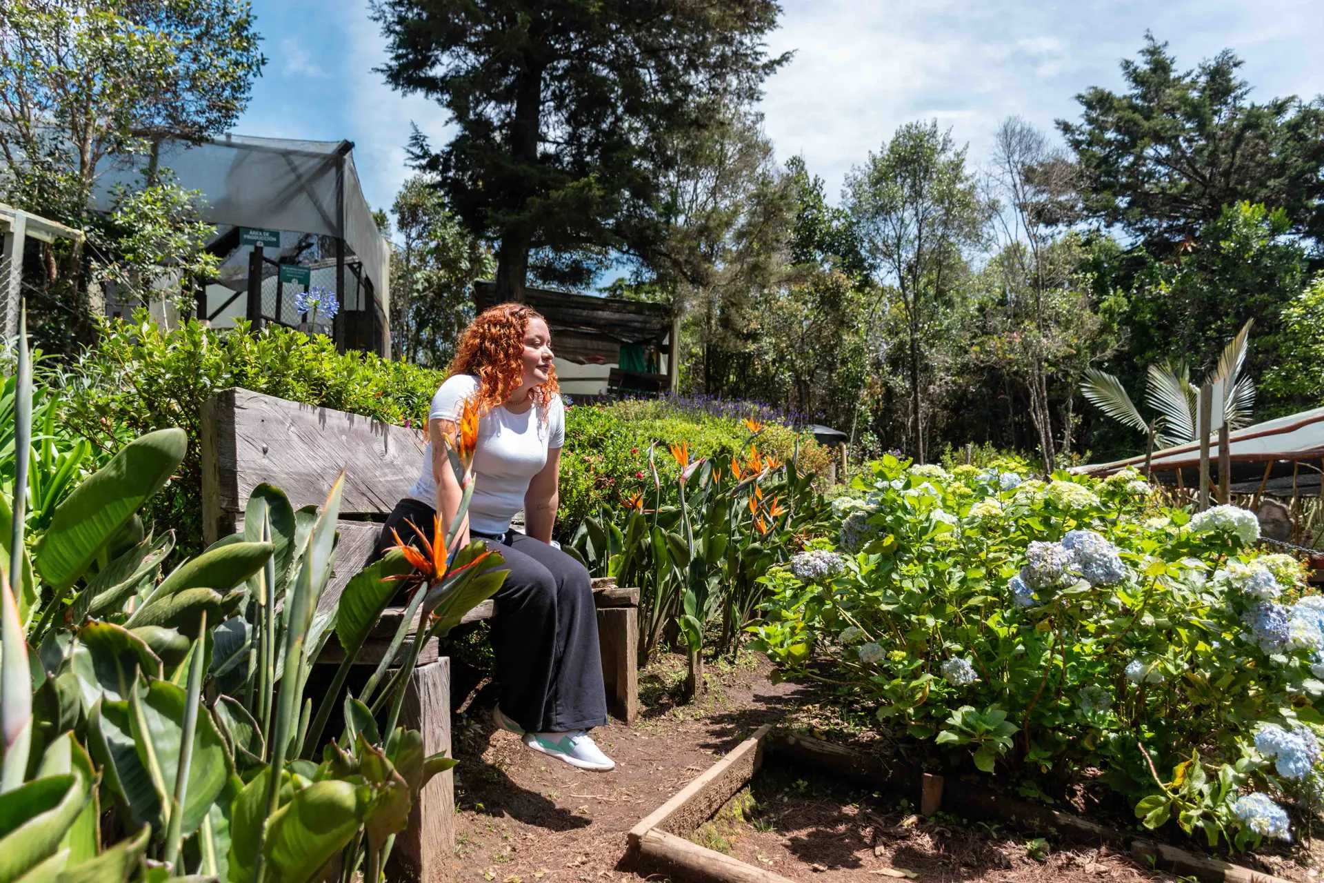 Medellín, el destino donde la salud también florece 