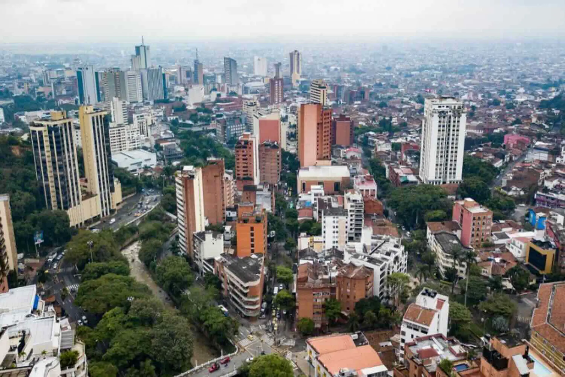 Pacífico colombiano gana protagonismo en los mercados internacionales