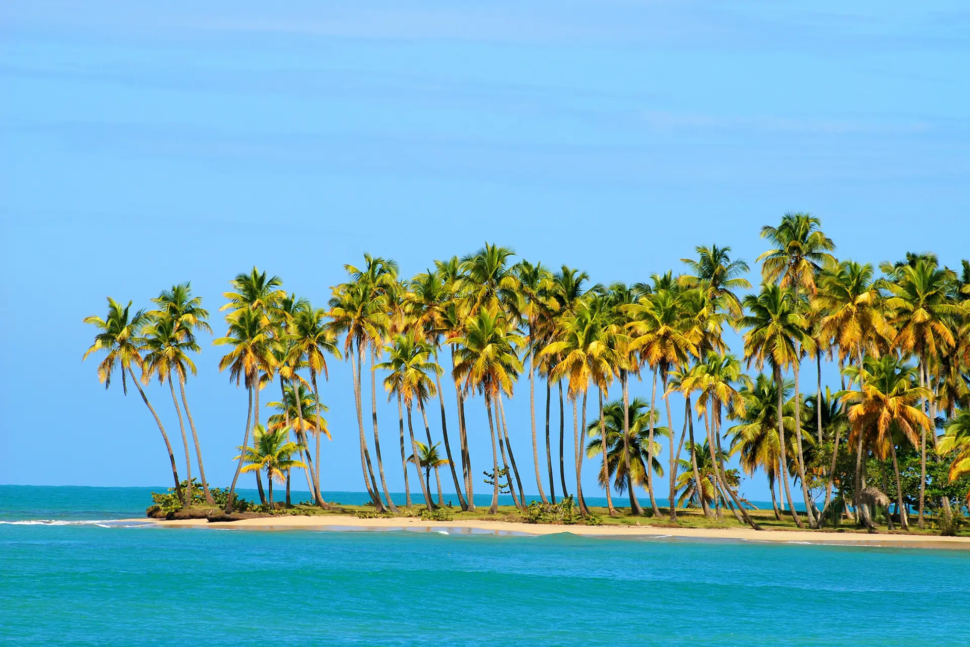 Miches, el destino de ecoturismo de lujo que gana protagonismo en Caribe
