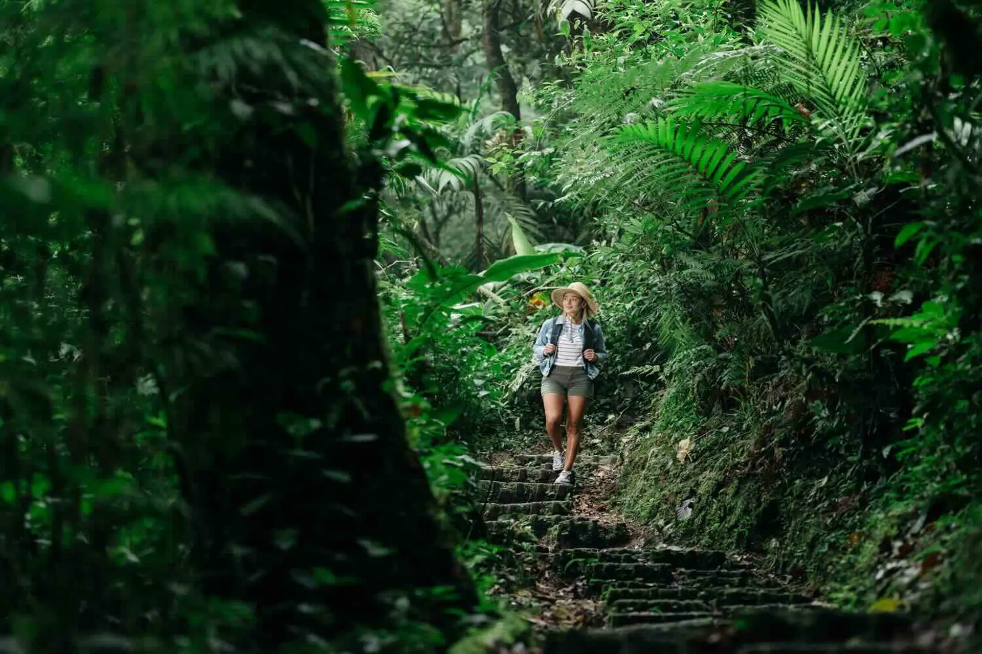Costa Rica: tiempo y naturaleza se vuelven los nuevos privilegios