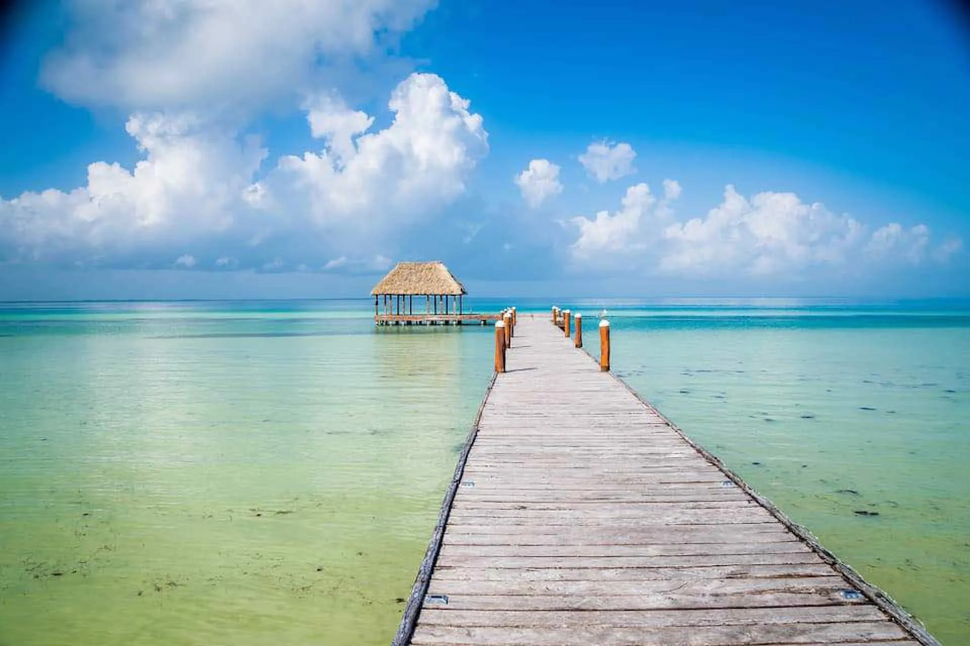 La isla de Holbox, el paraíso del Caribe Mexicano libre de sargazo