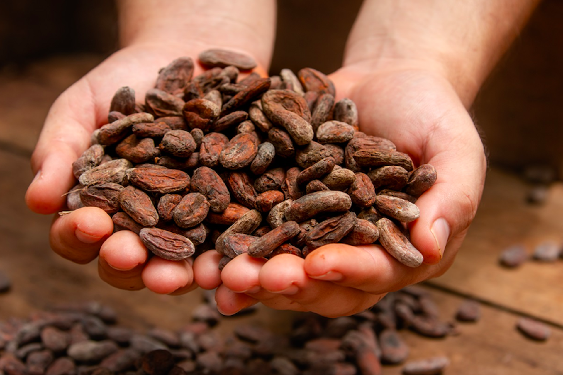 Costa Rica: un viaje al origen del chocolate y tradiciones ancestrales