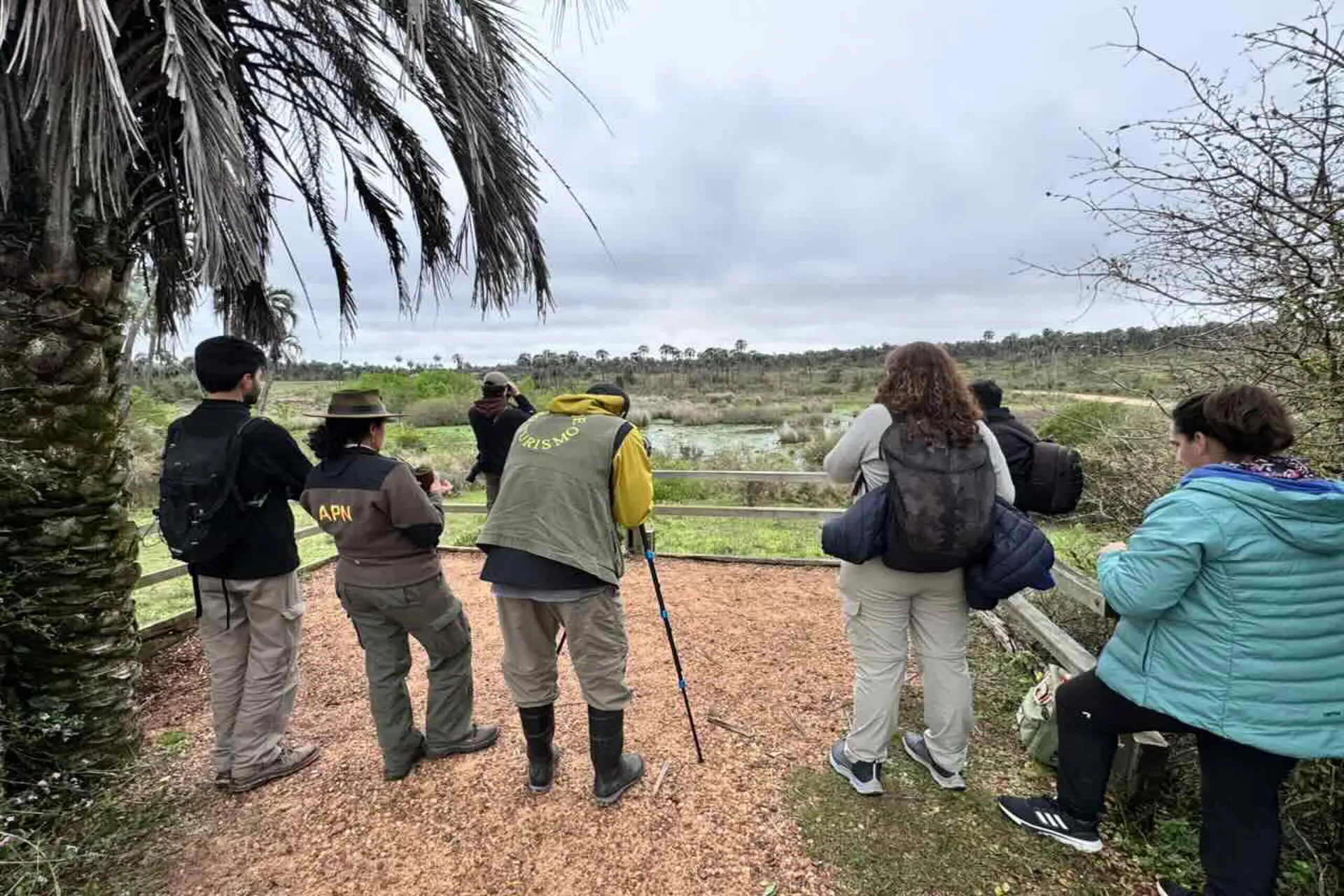 Argentina se sumó a la gran jornada mundial de observación de aves