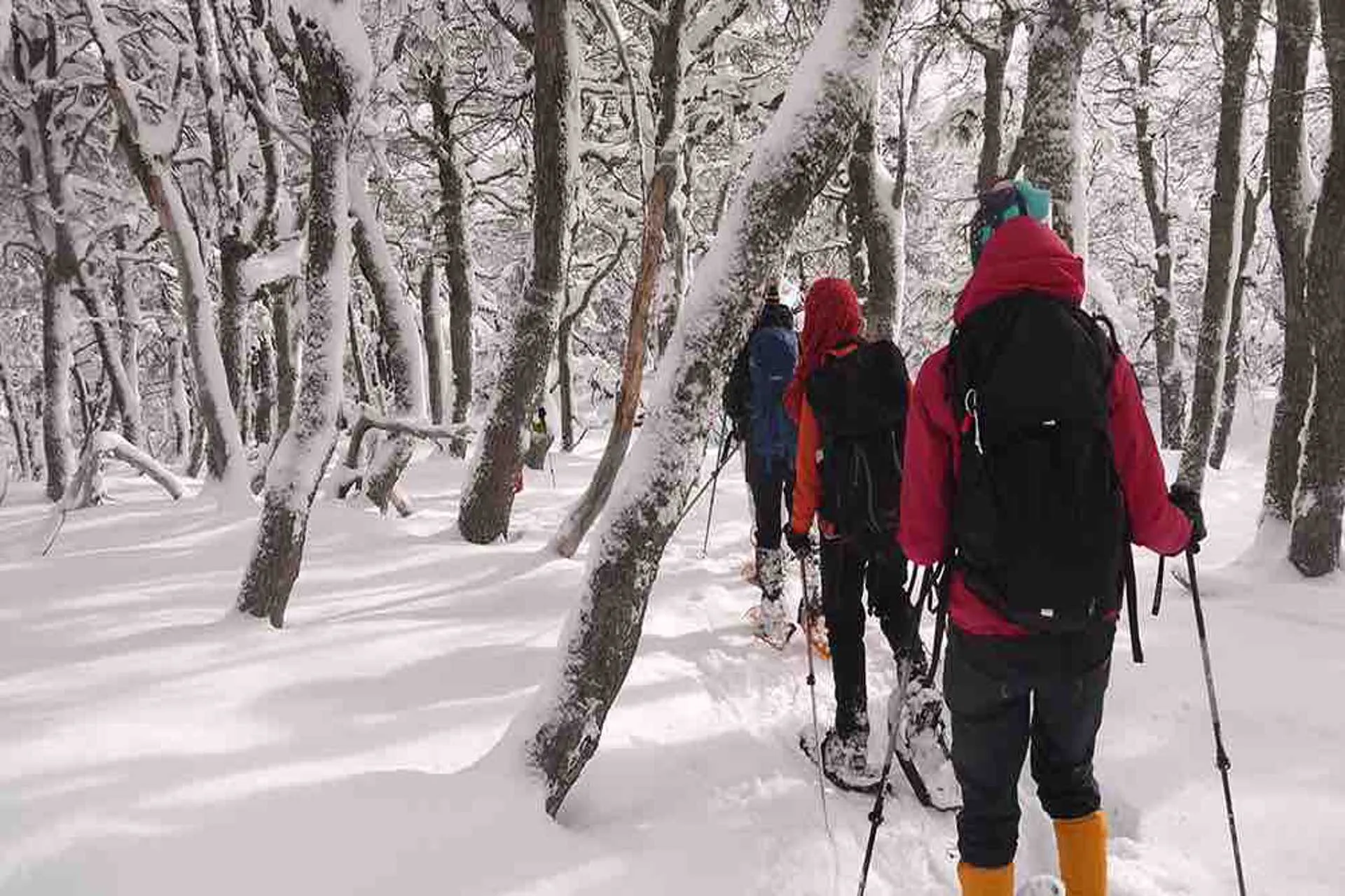 El Parque de Nieve en Trevelin es turismo y culturas ancestrales