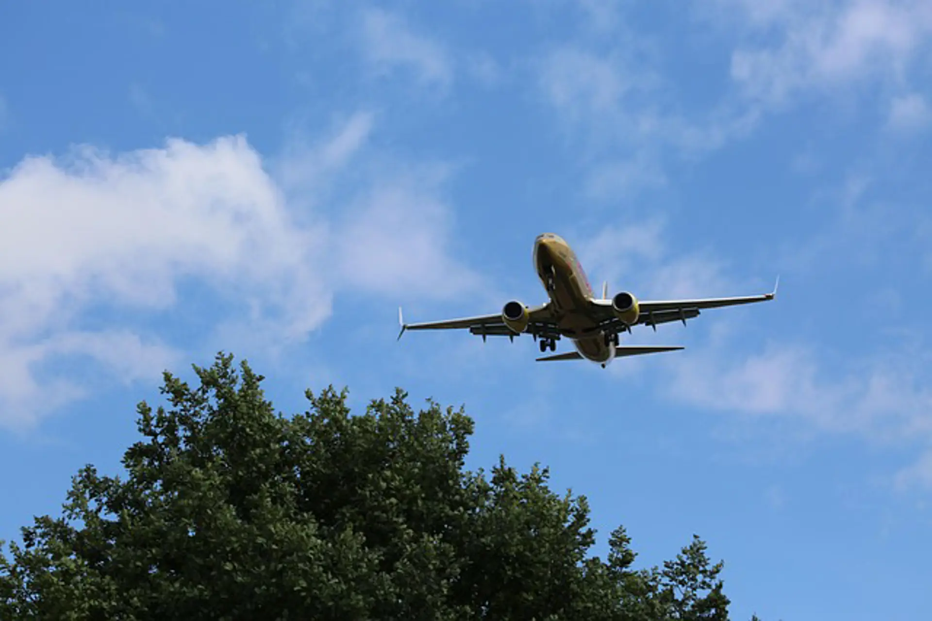 El tráfico aéreo en Latam y Caribe creció 0,8% en pasajeros en agosto