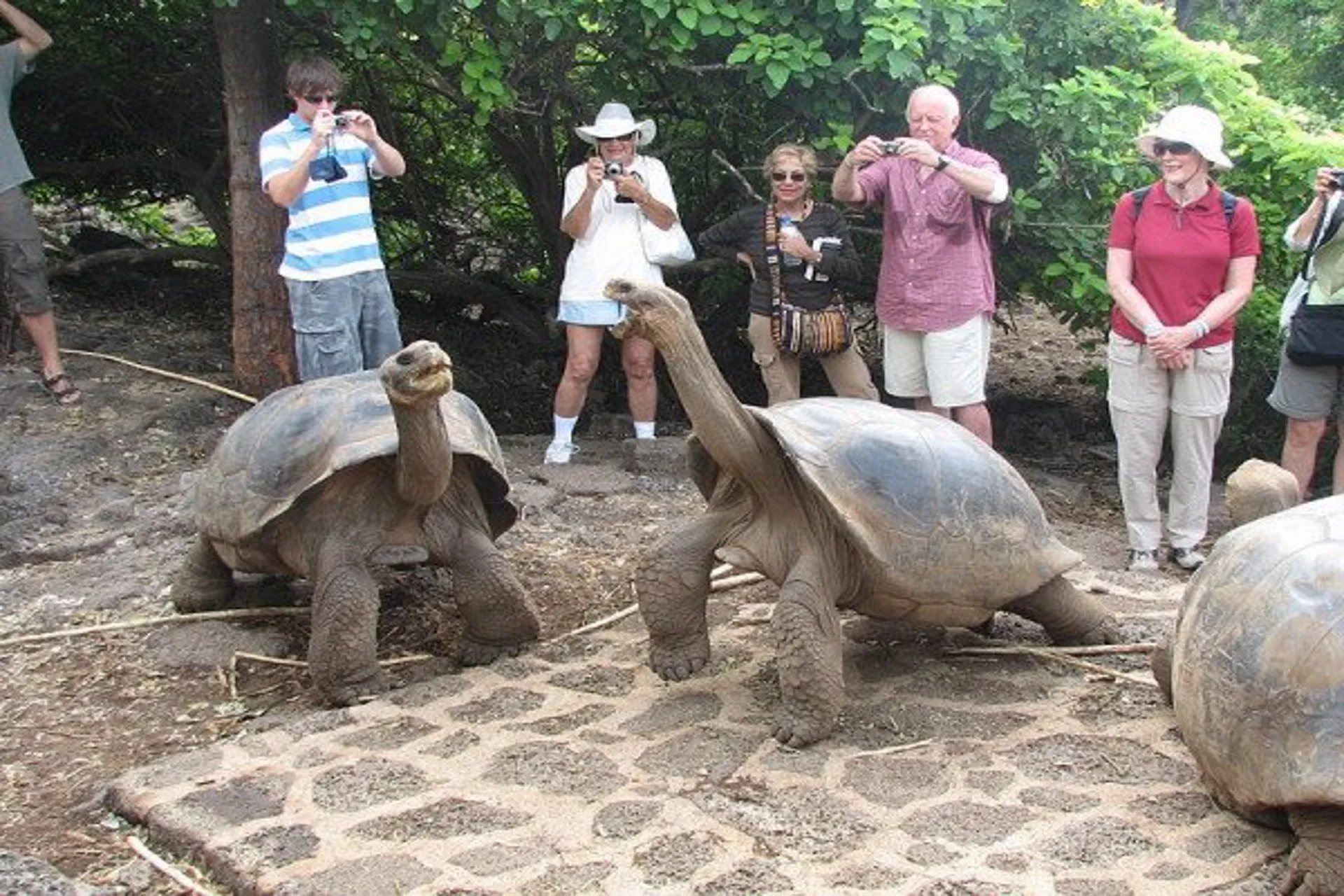 Ecuador ya no exige vacunación para entrar a Islas Galápagos