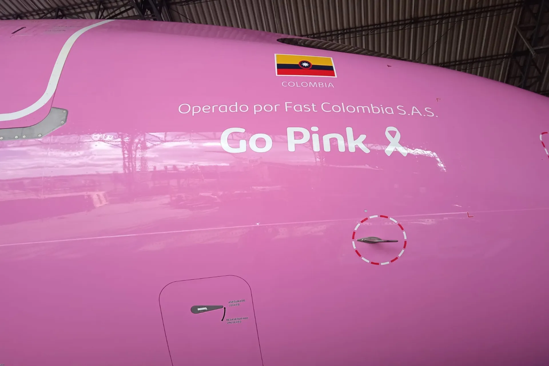 Llego "Go Pink" y es el inicio de una estrategia social de Viva