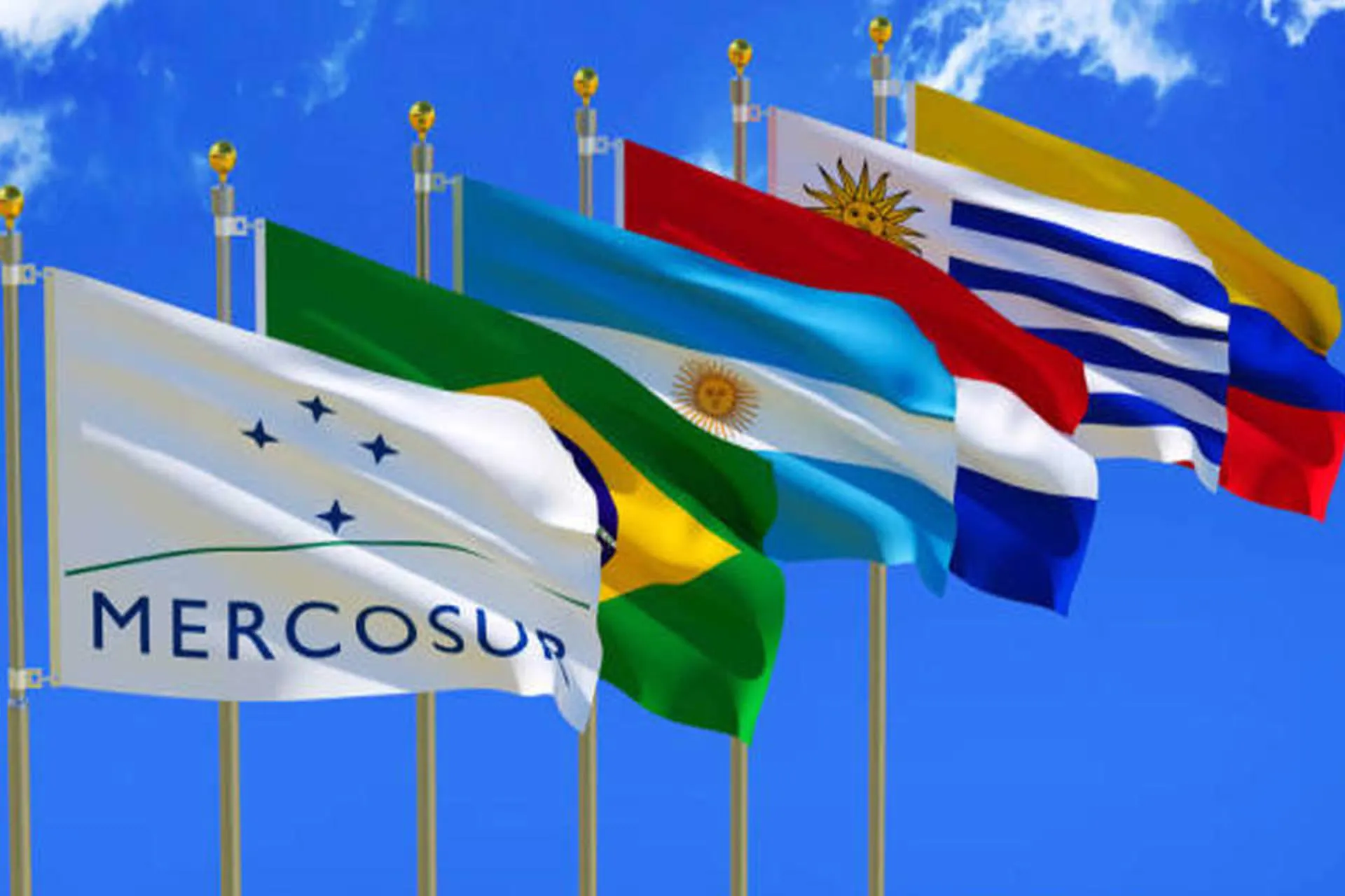 El Mercosur pide a sus gobiernos que unifiquen protocolos