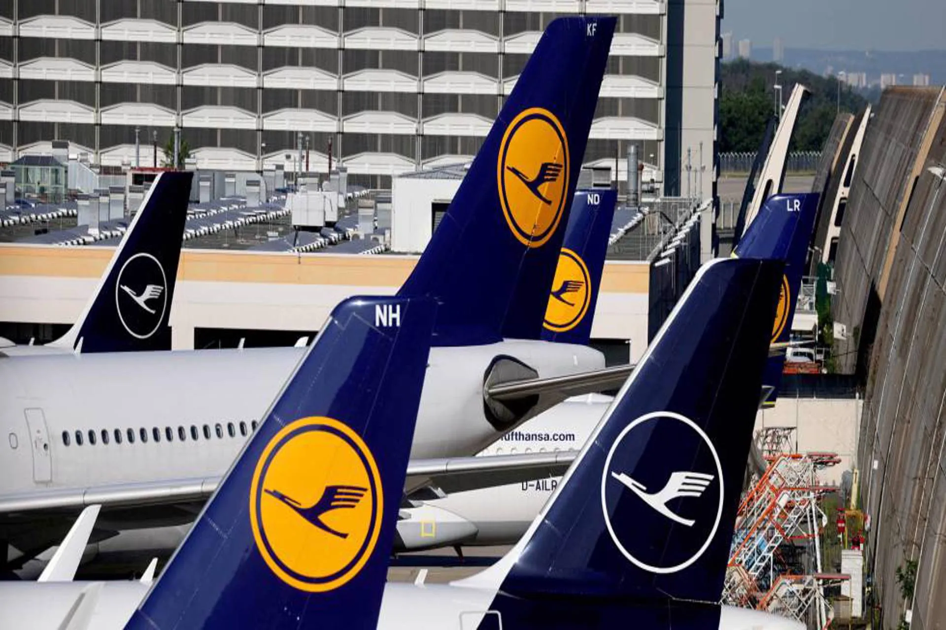 Lufthansa tendrá vuelos diarios entre Buenos Aires y Frankfurt