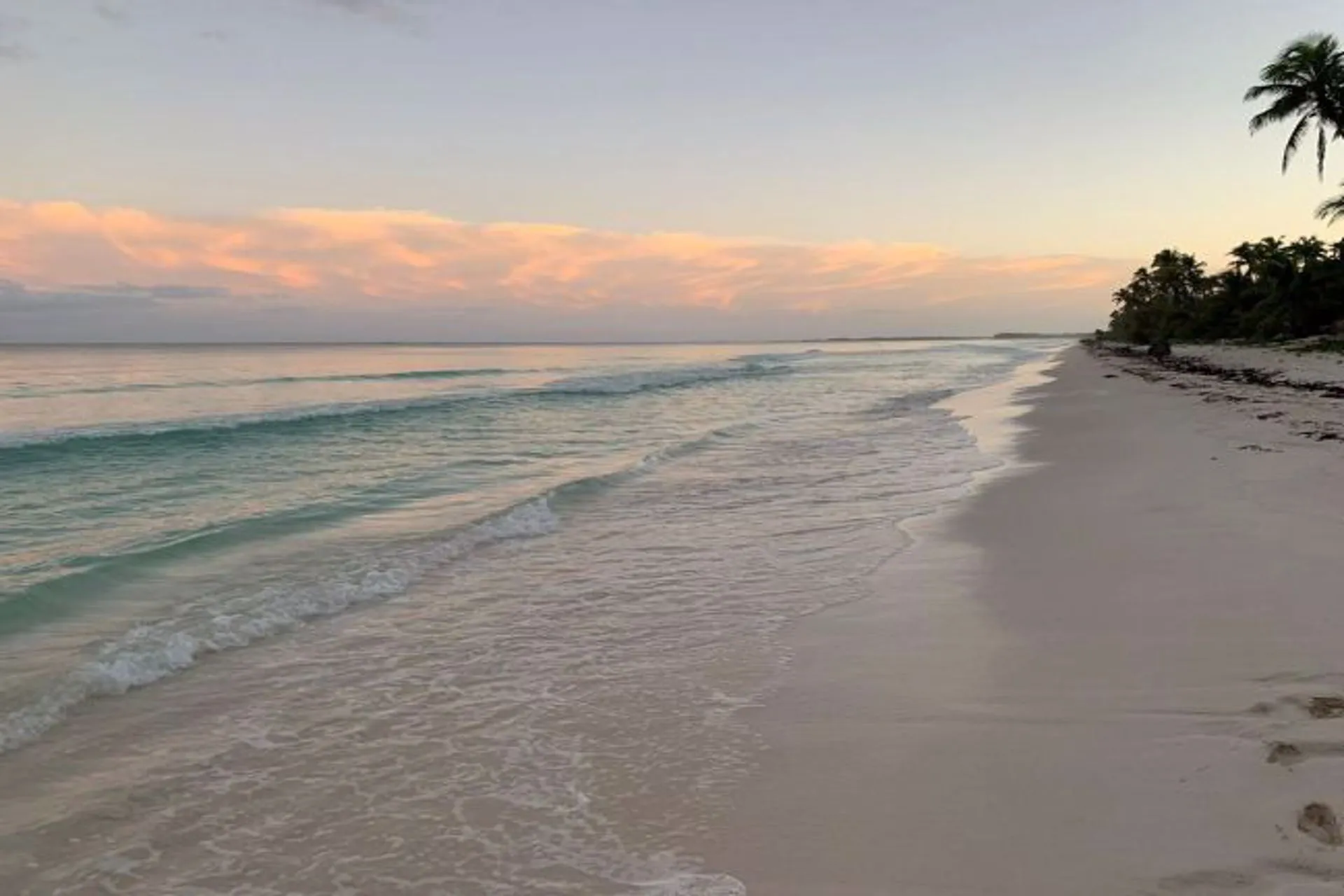 Las playas de Tulum lucen libres de sargazo a la espera de turistas