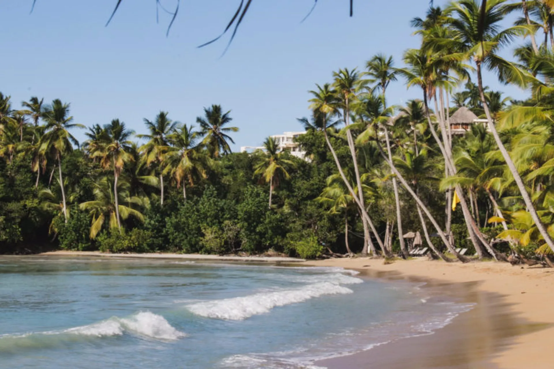 Tres playas que debes visitar en tu próximo viaje a Samaná