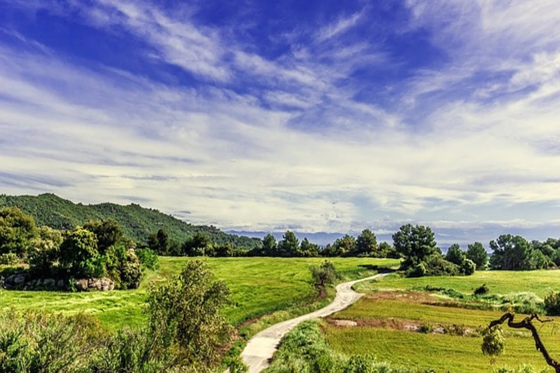 ANATO: Bajo el lema "Turismo y desarrollo", el turismo rural es la gran apuesta de las agencias de viaje colombianas para el verano del hemisferio sur