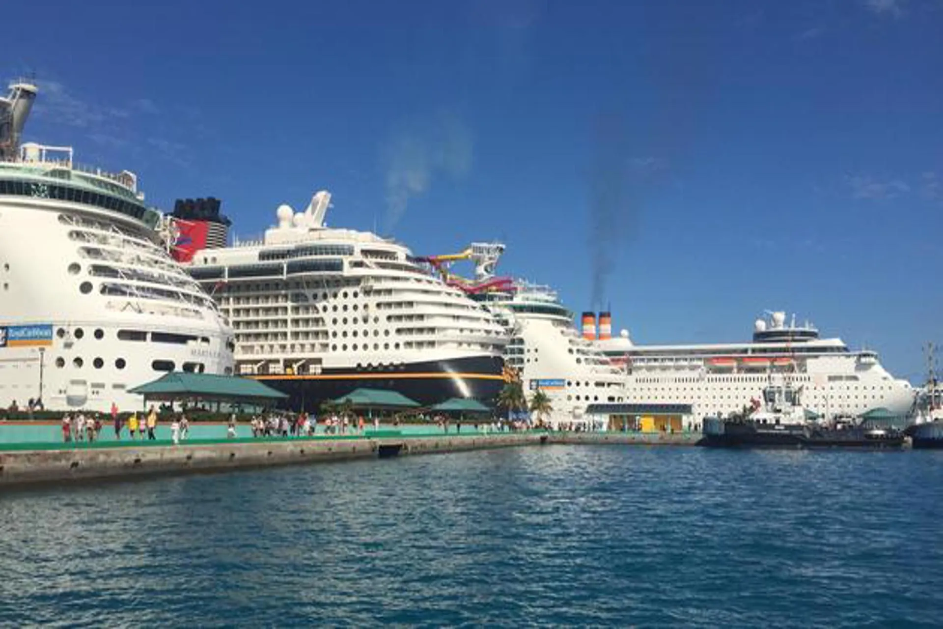 Disminuyen casos de Omicron y reservas de cruceros cobran fuerza Disminuyen casos de Omicron y reservas de cruceros cobran fuerza