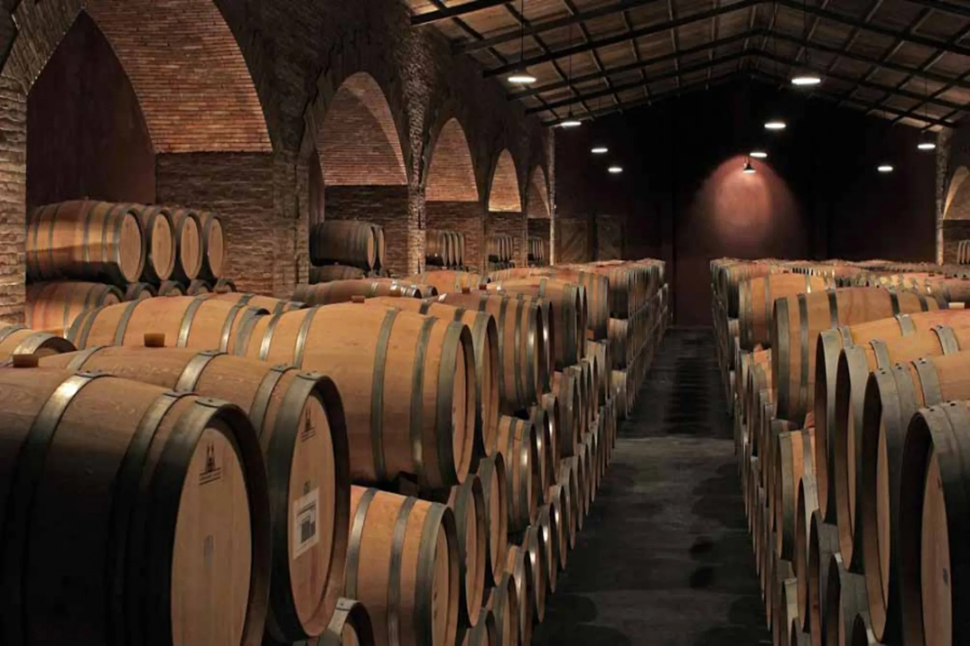 Mendoza: Sede de la asamblea de la Red Mundial de Capitales del Vino Mendoza: Sede de la asamblea de la Red Mundial de Capitales del Vino