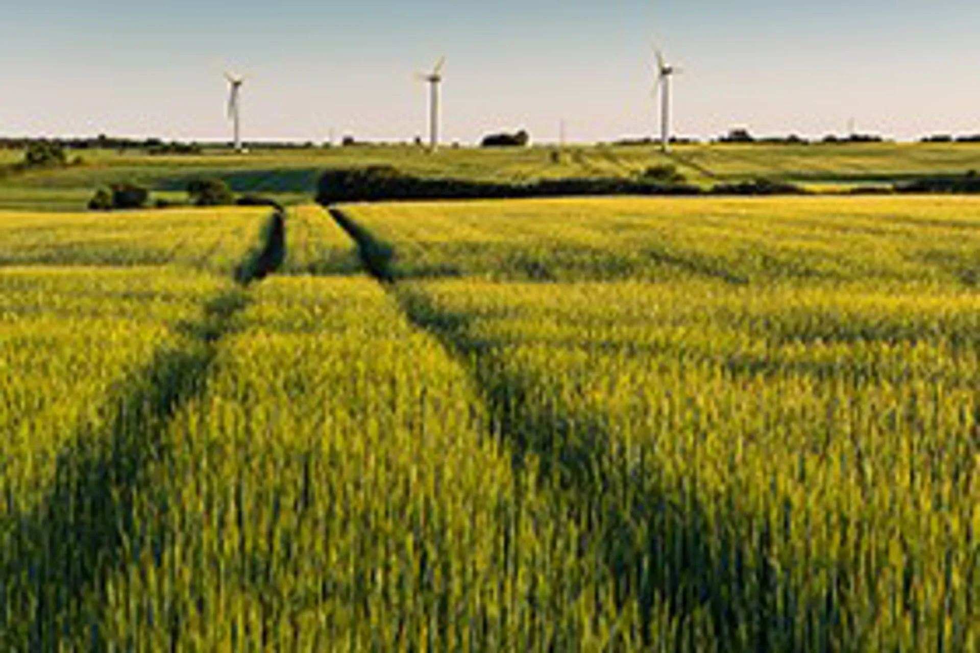 IATA dará un cálculo de CO2 preciso para tomar decisiones sostenibles
