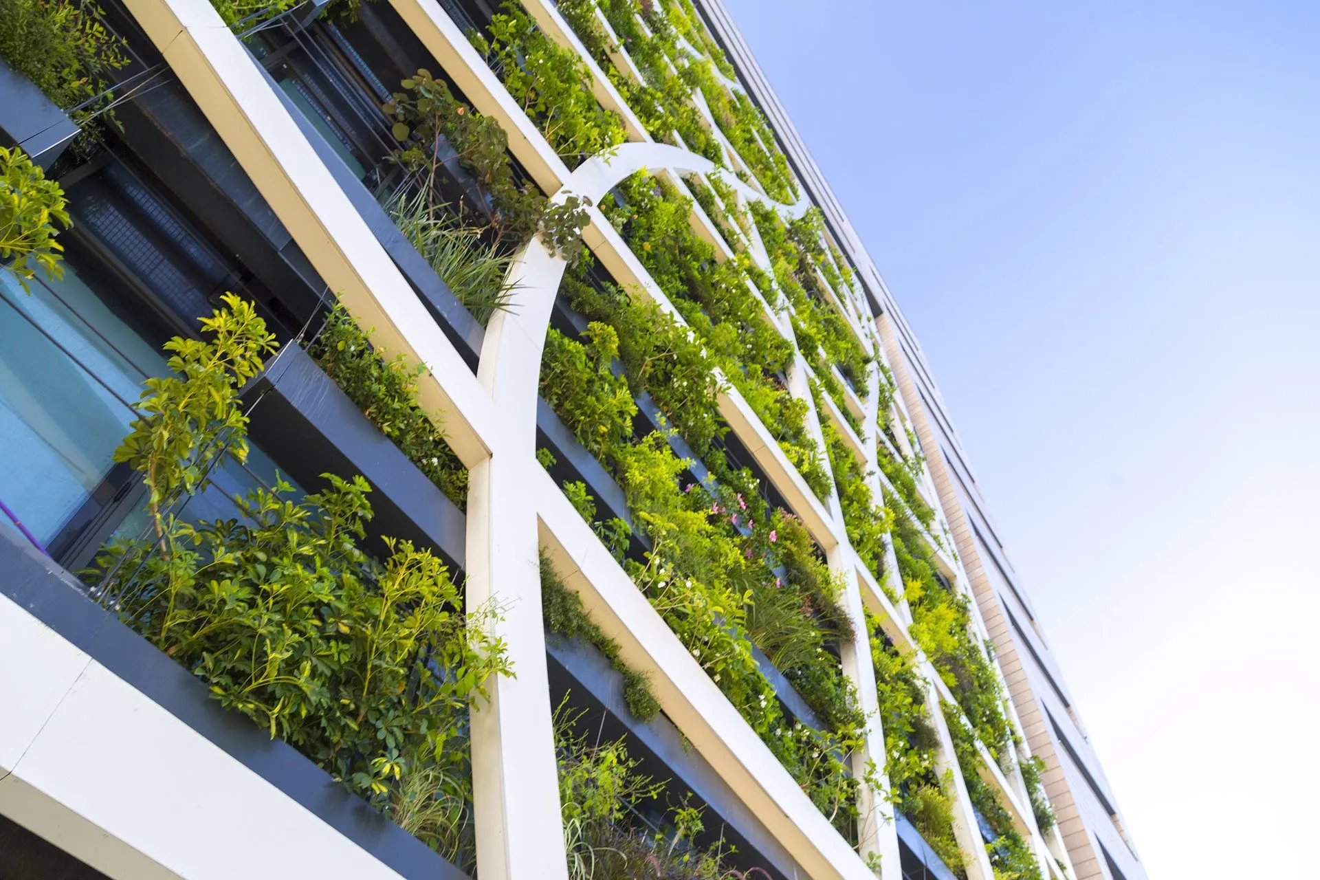 Como garantizar sustentabilidad a los viajeros corporativos