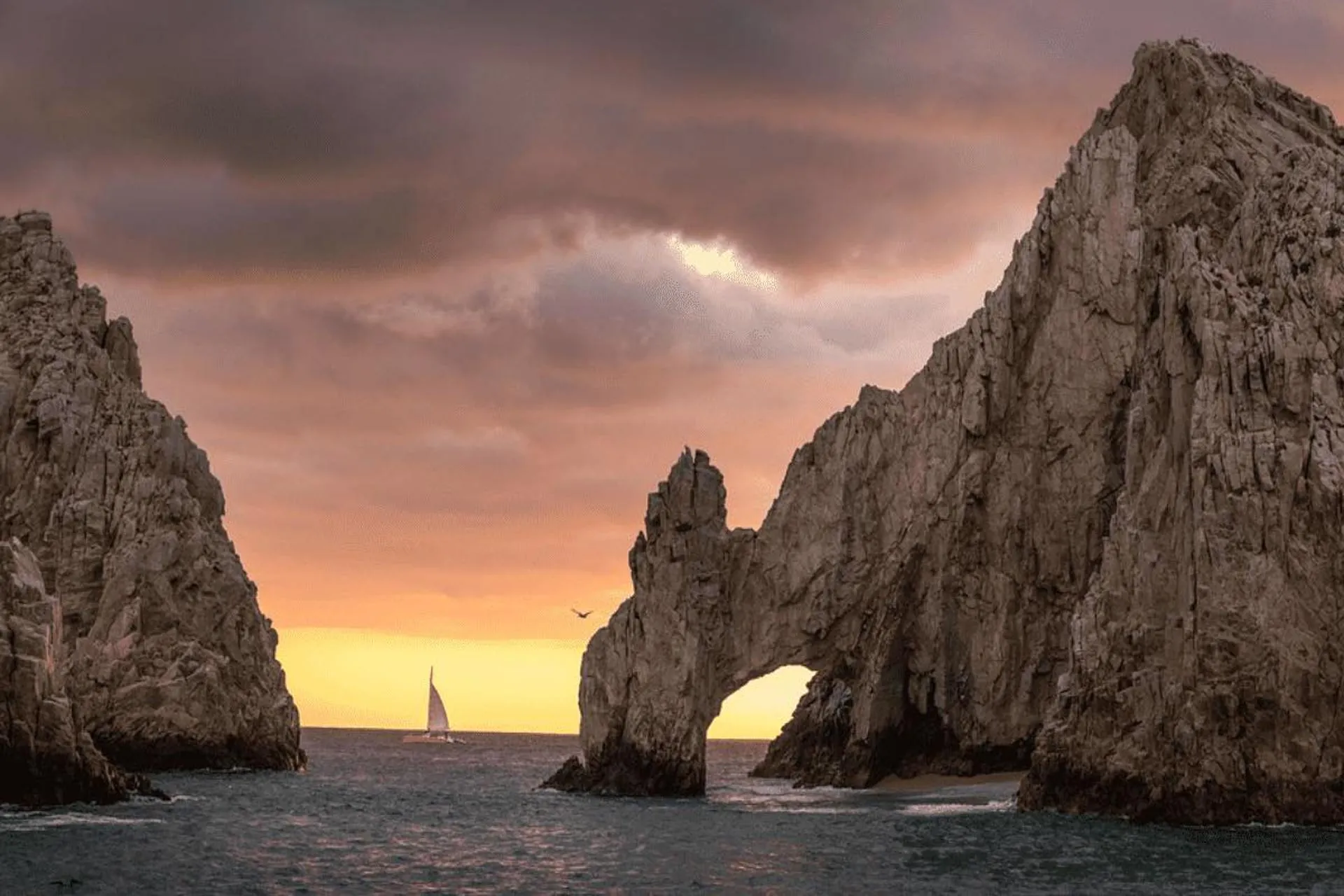 Los Cabos 2022: incremento histórico en turismo internacional Los Cabos 2022: incremento histórico en turismo internacional