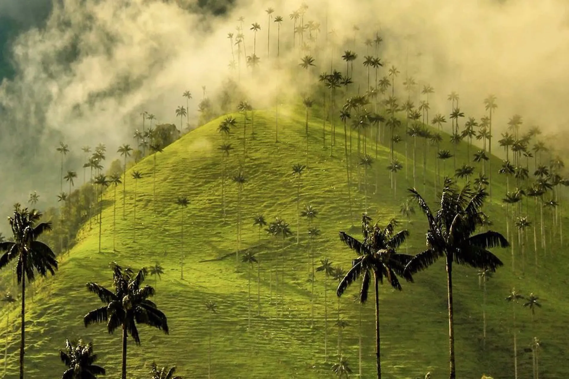Colombia: cafetales, paisajes increíbles y comida típica Colombia: cafetales, paisajes increíbles y comida típica