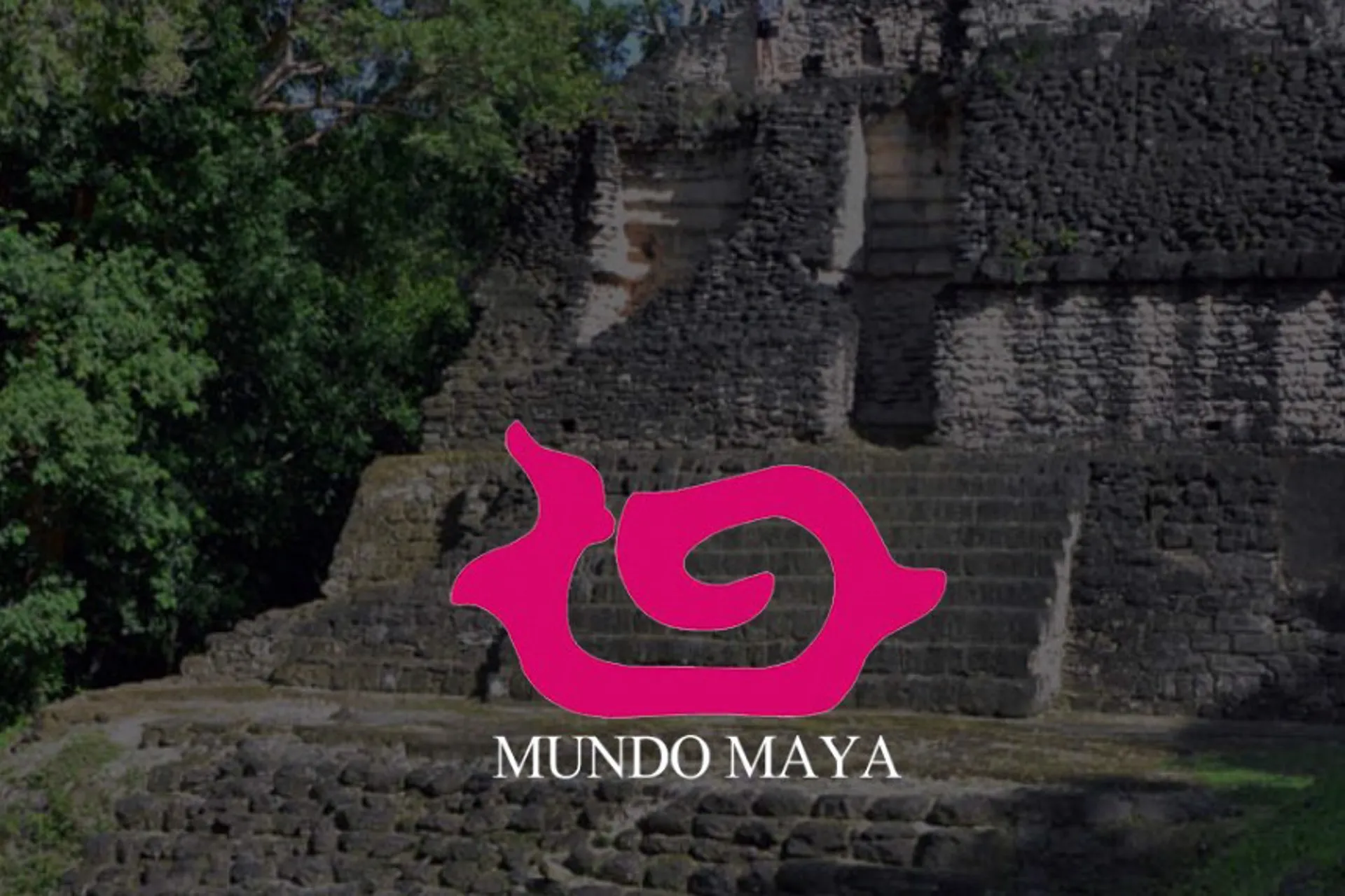 Los estados de Chiapas, Tabasco, Campeche, Yucatán y Quintana Roo tendrán un lugar para participar en la próxima reunión de la Organización Mundo Maya Los estados de Chiapas, Tabasco, Campeche, Yucatán y Quintana Roo tendrán un lugar para participar en la próxima reunión de la Organización Mundo Maya