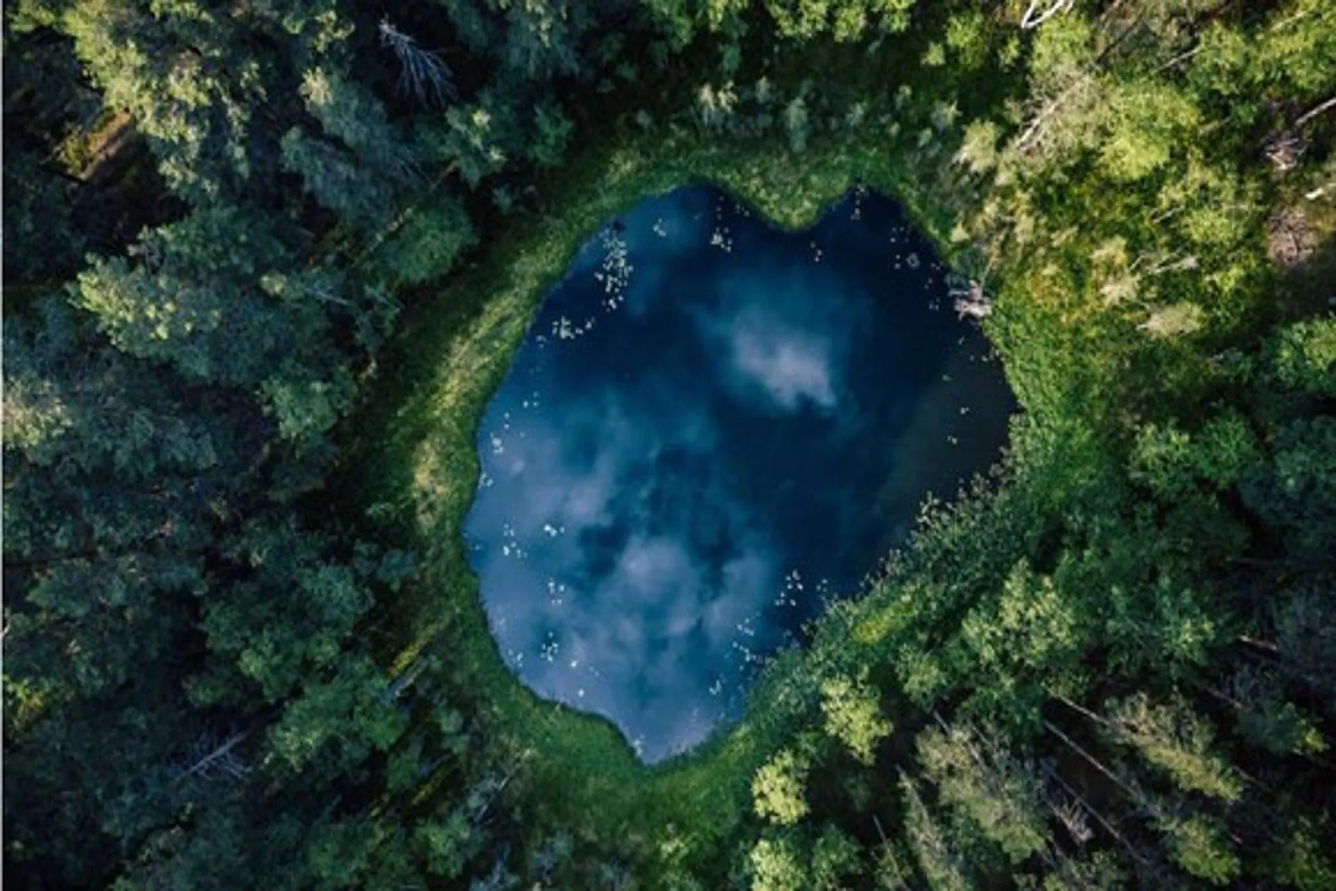 Accor empodera colaboradores en busca de transformación sostenible