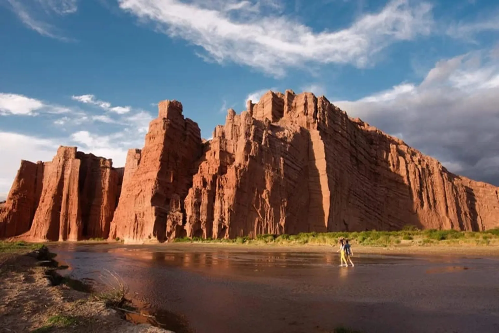Argentina invitó a Elon Musk a hacer "turismo espacial" en el país