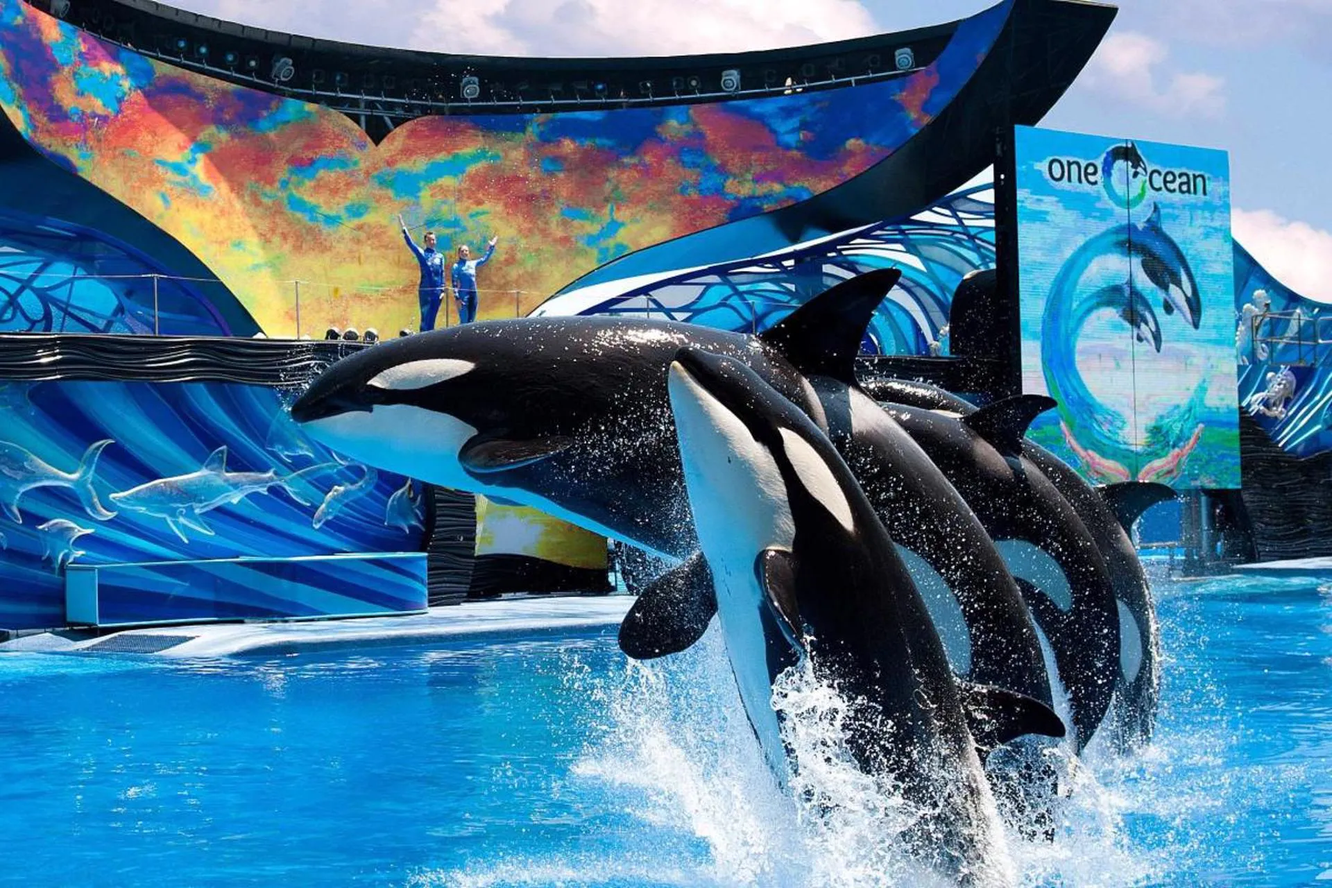 SeaWorld presento un portal en español para el mercado Latino