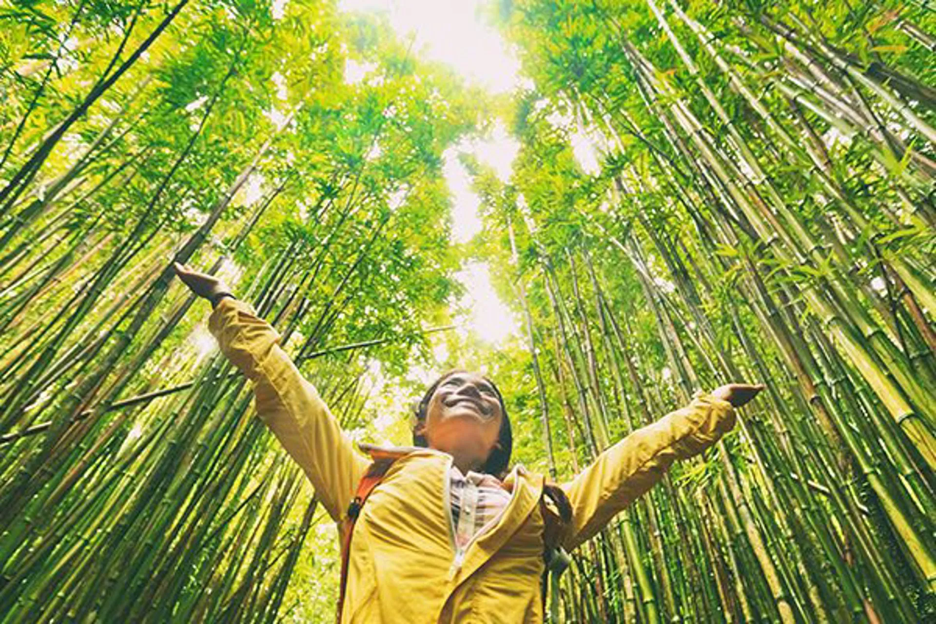 WTTC llama a gobiernos y privados a frenar el deterioro del planeta