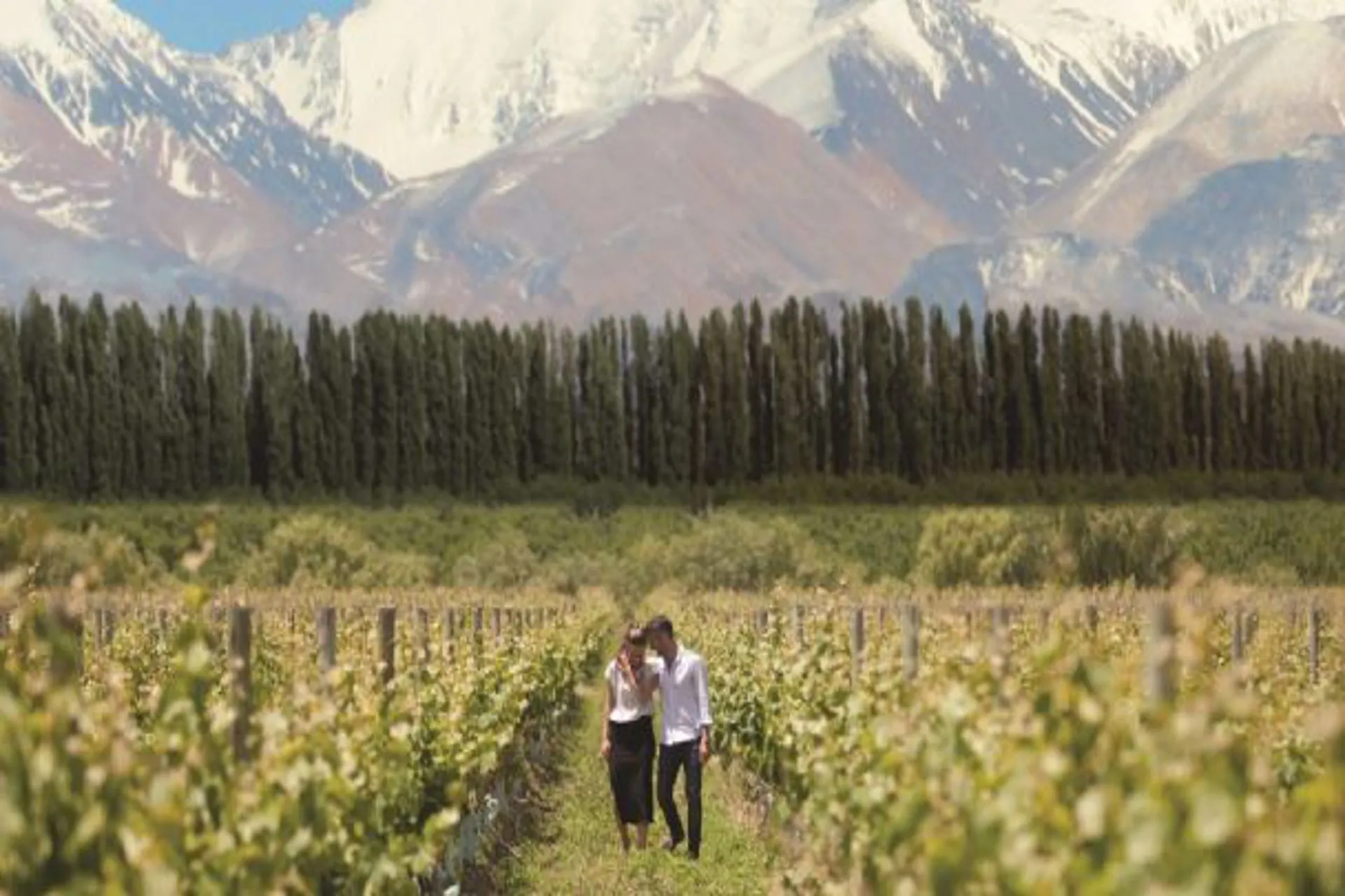 Argentina Incentivar el turismo permitirá recomponer la economía