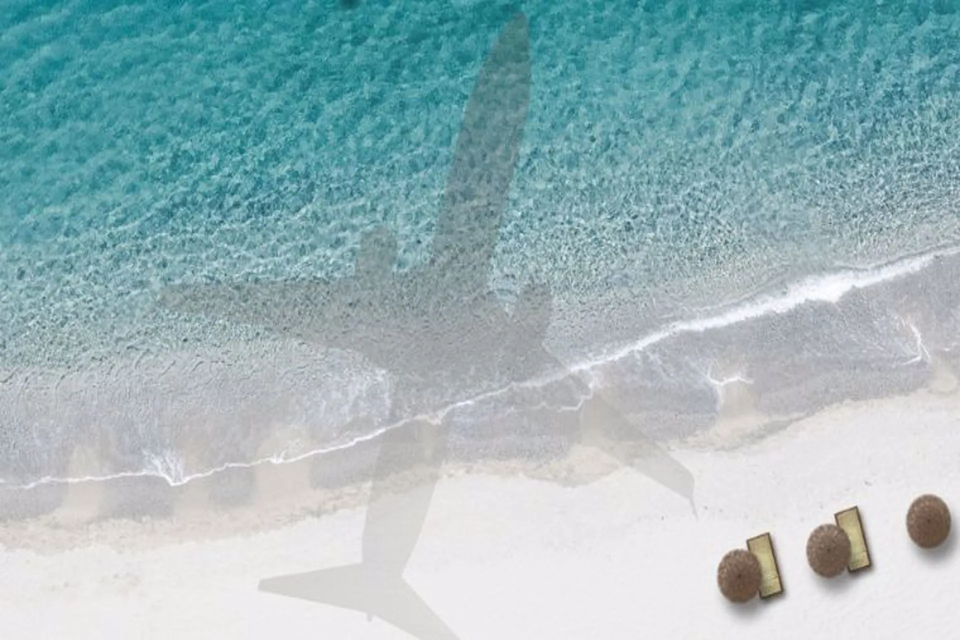 Aviso de IATA al Caribe: elevadas tasas aéreas pueden restar turismo