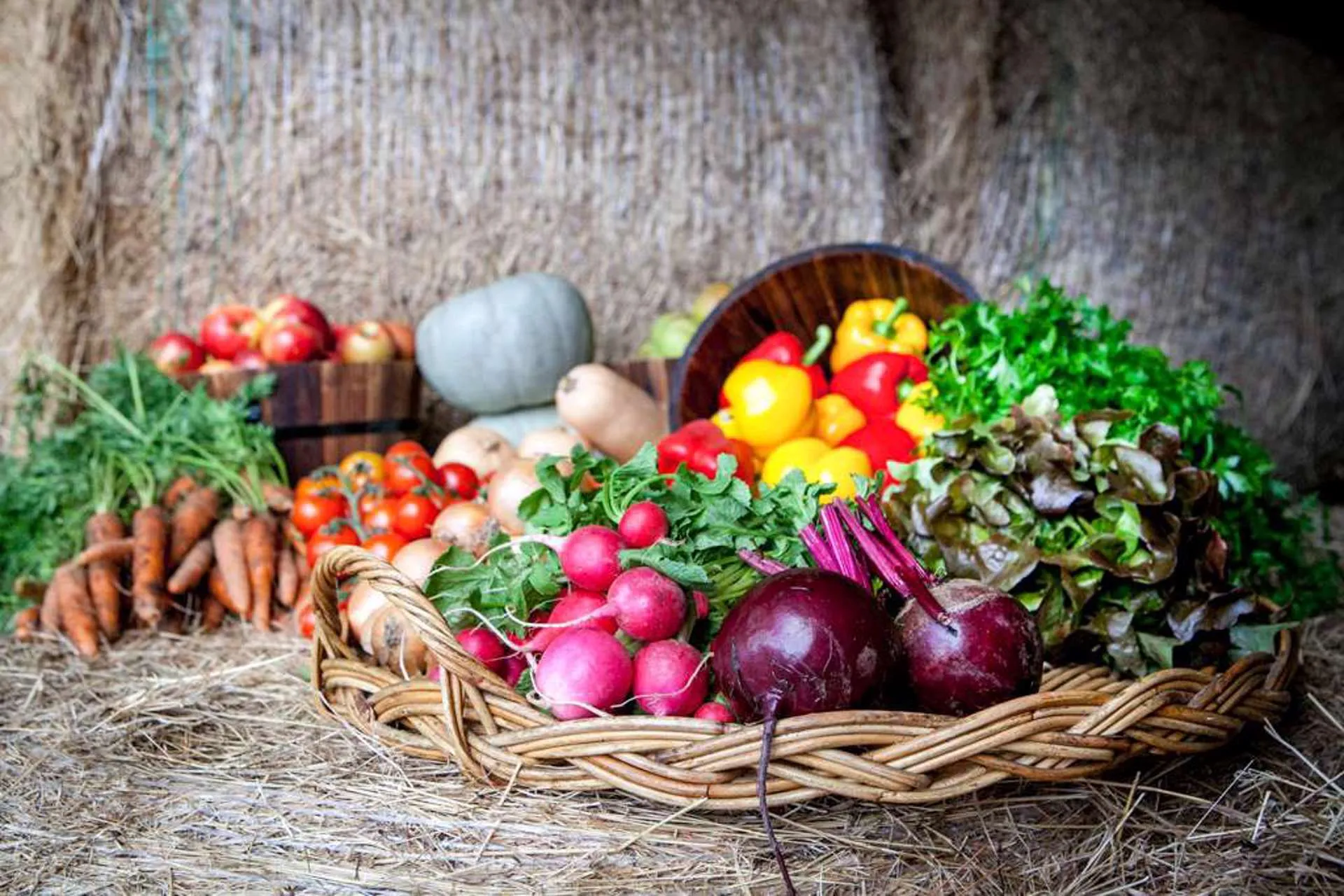 Accor intensifica acciones contra el desperdicio de alimentos 