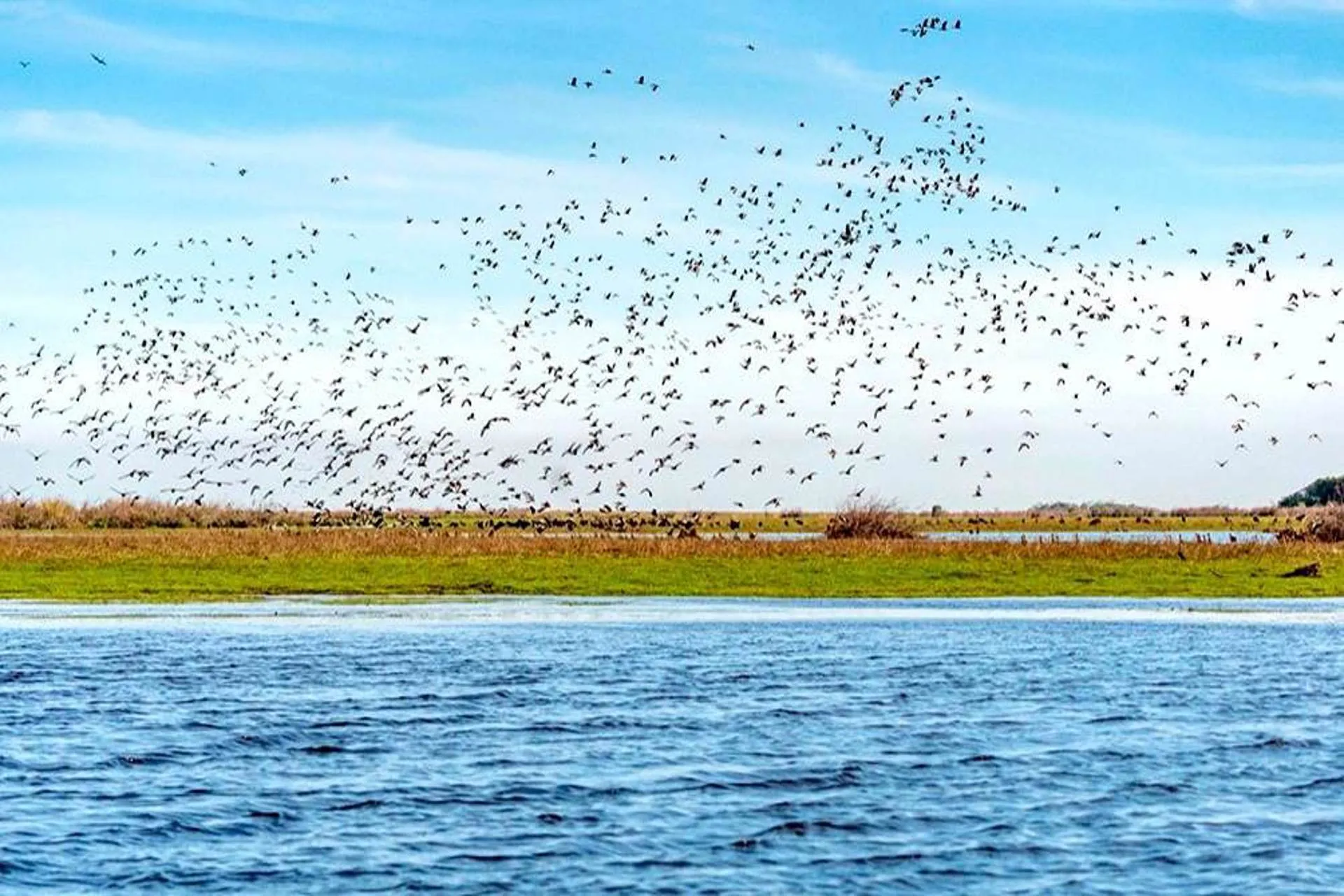 Certificaron al Iberá como destino de astroturismo por su cielo Certificaron al Iberá como destino de astroturismo por su cielo