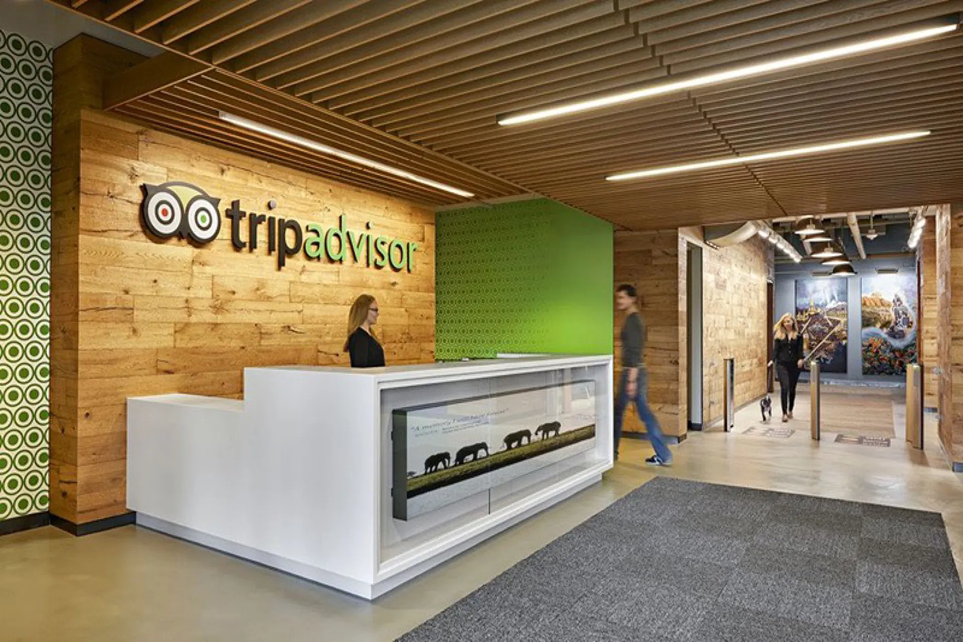 Viator represento un 33% de los ingresos de Tripadvisor en 2022
