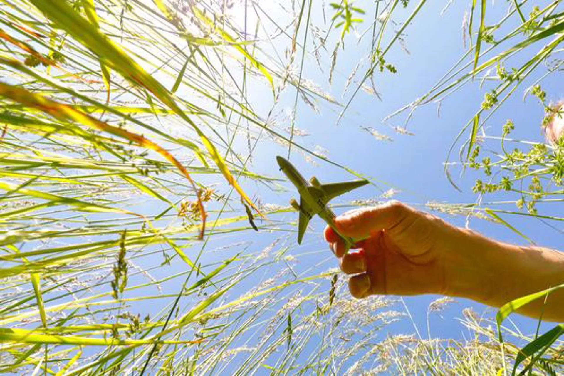 Encuesta: viajeros buscan opciones sostenibles y pagarían mas por ello