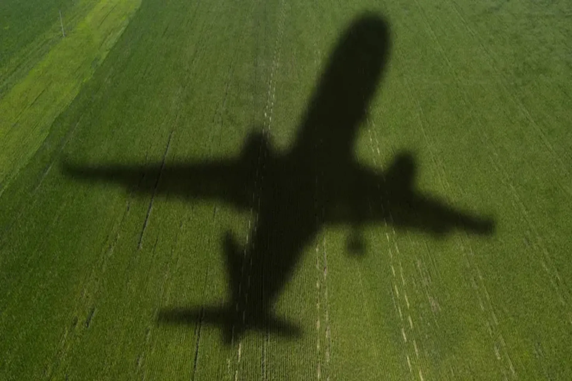 United Airlines anuncio la creación de un fondo para vuelos sostenibles