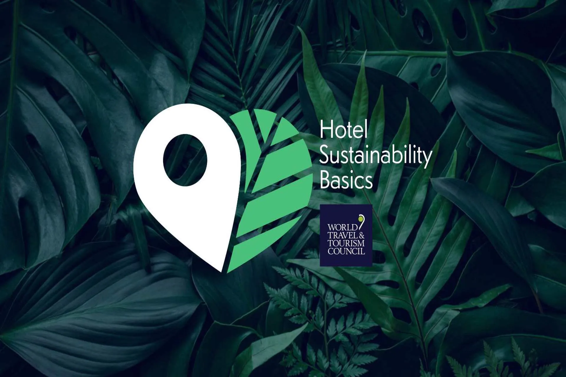 WTTC lanza los conceptos básicos de sostenibilidad hotelera