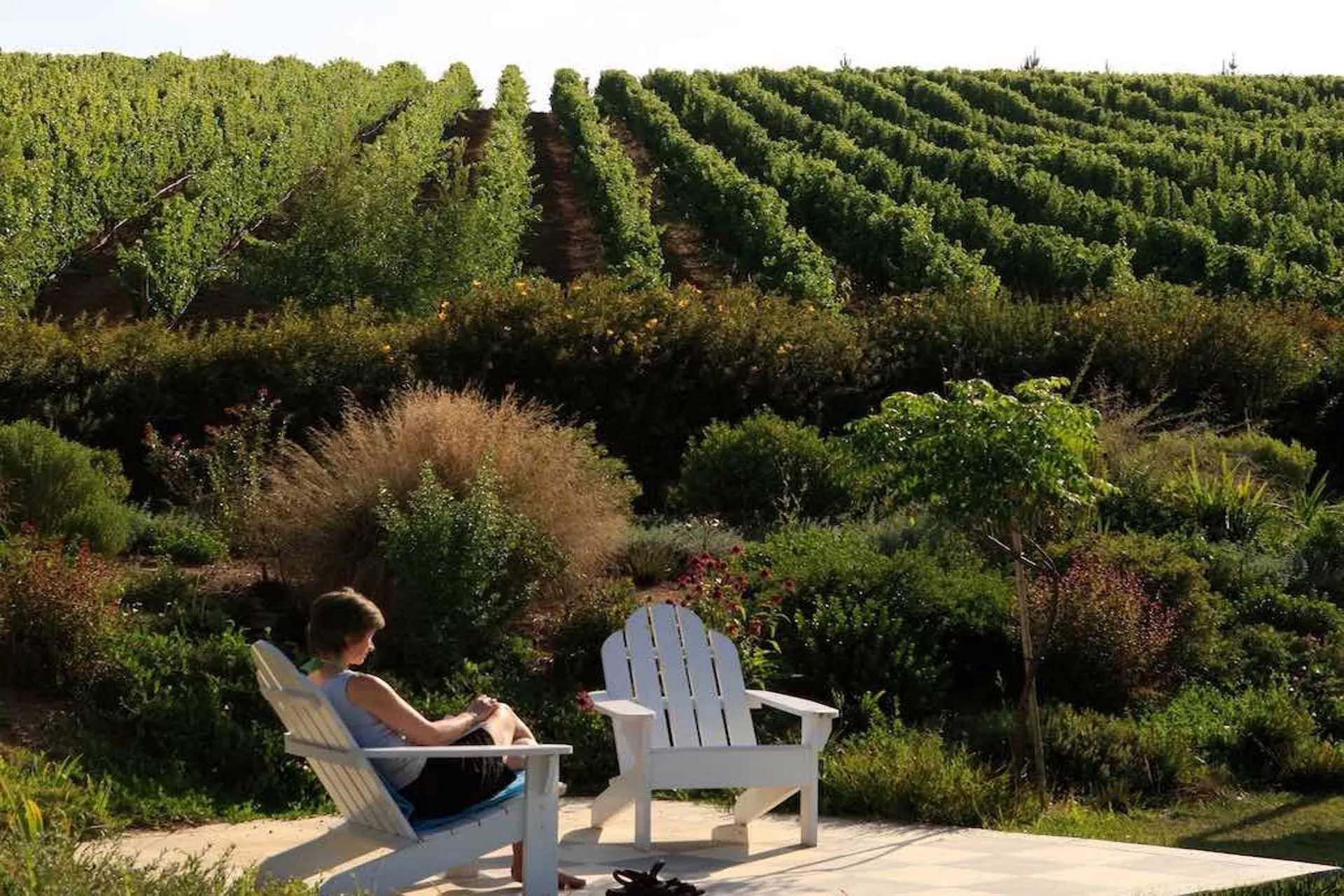 La Región de Valparaíso presenta sus atractivos turísticos en Mendoza