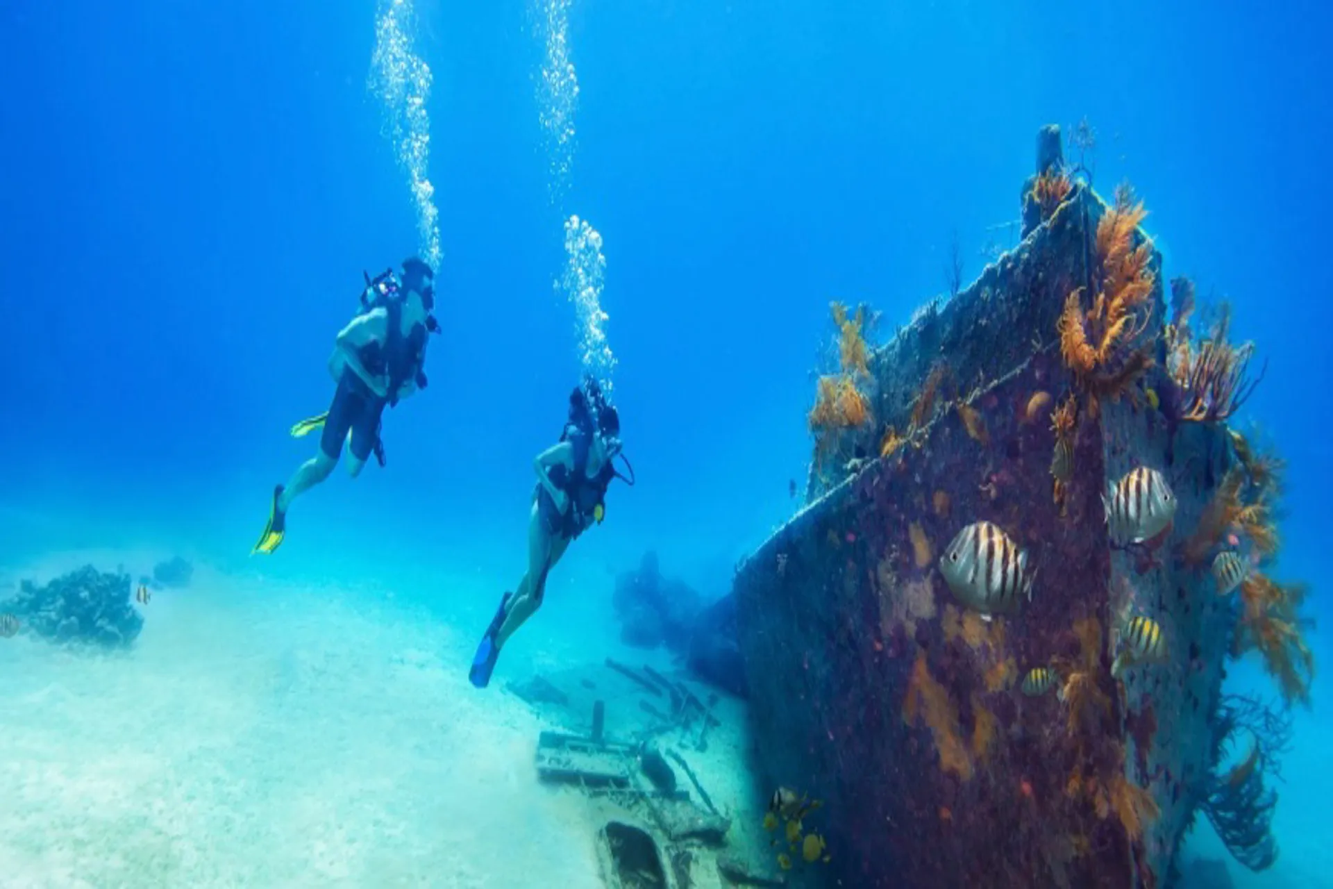 Descubre el increíble mundo submarino de Las Bahamas