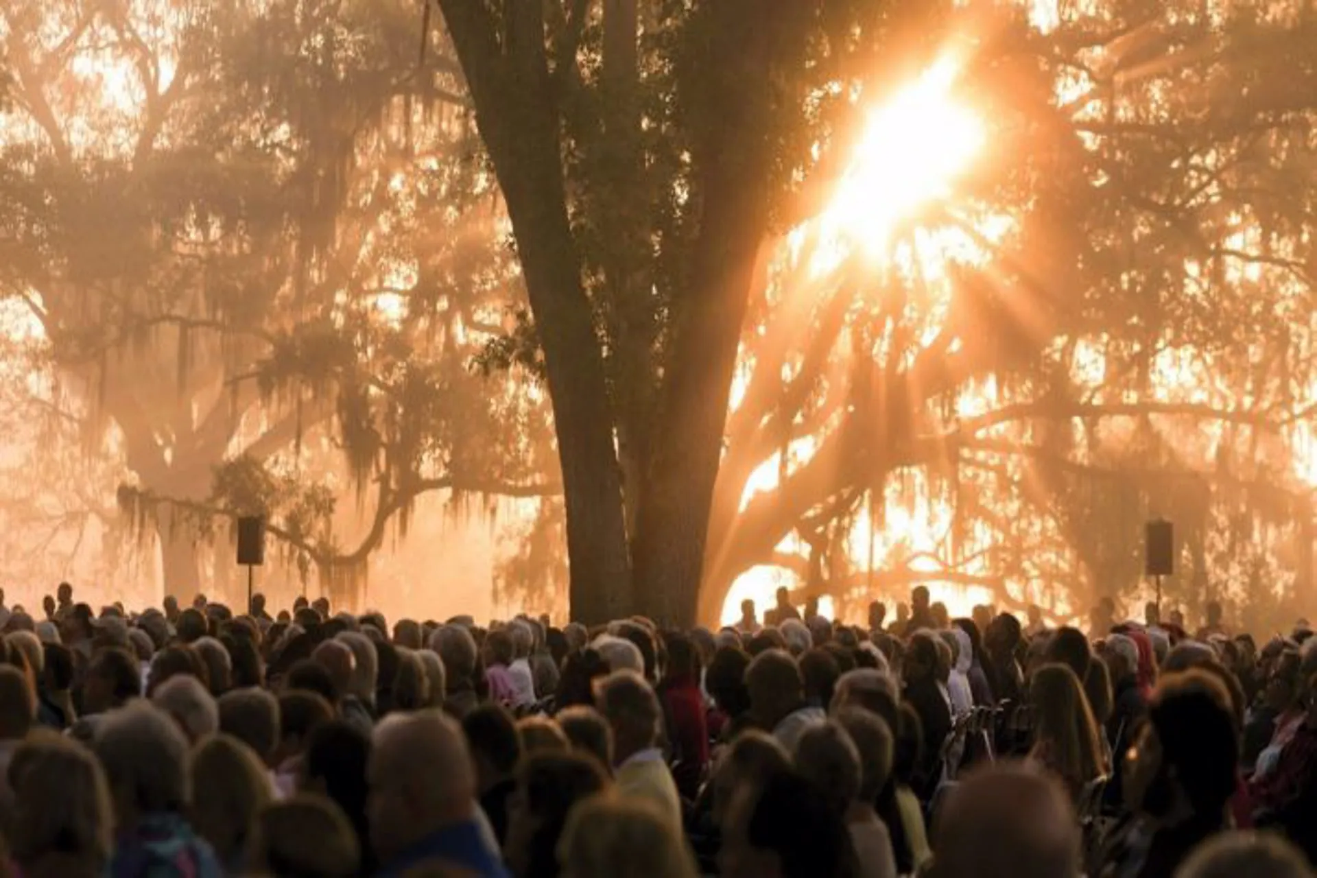 Primavera en el lugar ideal: el condado de Polk, en Florida Central